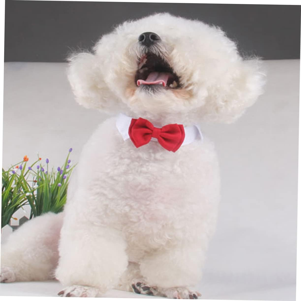 Ipetboom Pet Bowknot Collar Cat Cotton Tie for Daily Party Red Bow Tie Pet Supplies for Cat Accessories image number 3