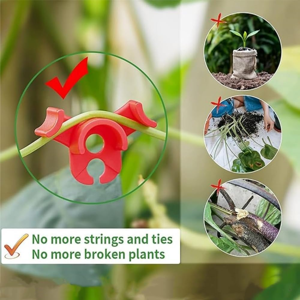60Pcs Plant Training Clips,Wady Low-Stress Plant Benders for Gentle Training, Soft Bendable Clips for Healthy Growth, Gardening Training Tools for Indoor/Outdoor Plants (Mixed) - Mixed image number 2