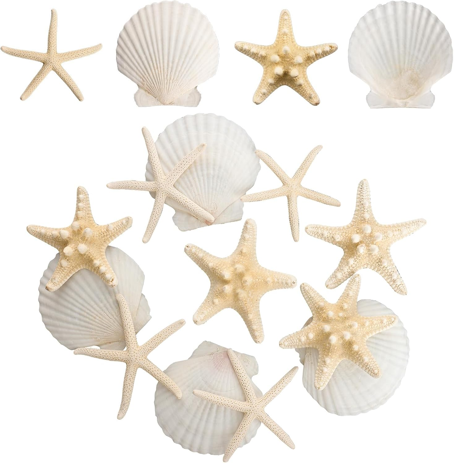 15PCS Starfish Scallop Shells for Crafts 3.5"-4.7" Large Seashells Bulk Mixed Star Fish Shells Decorations for Wedding Decor DIY Crafting Craft Making Fish Tank Home Decorations
