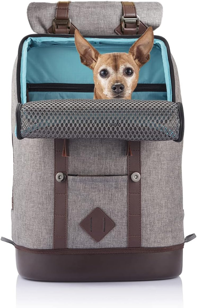 Kurgo Dog Carrier Backpack for Small Pets - Dogs & Cats | TSA Airline Approved | Cat | Hiking or Travel | Waterproof Bottom | G-Train | K9 Ruck Sack | Red | Grey (Heather Charcoal Grey)