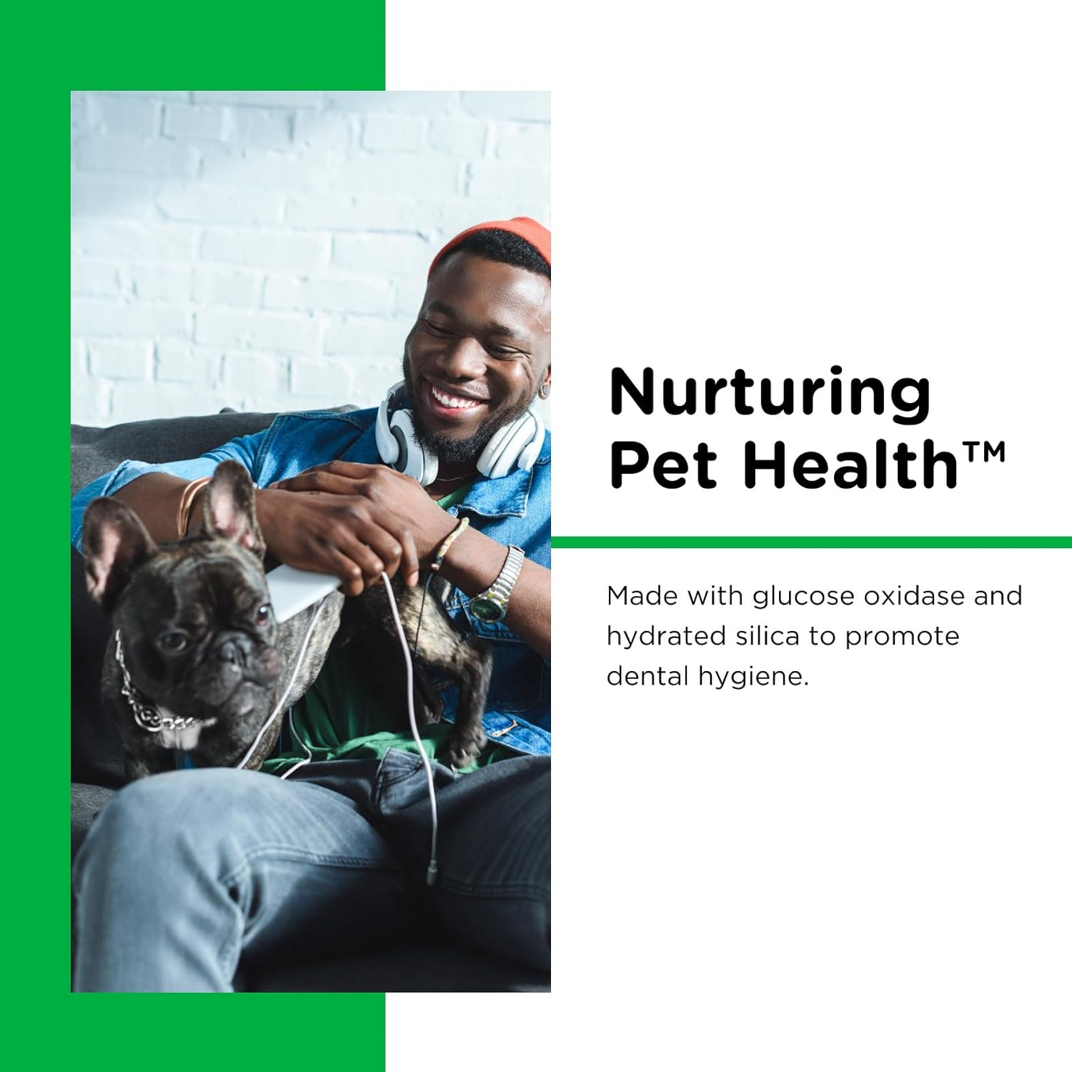 Nutri-Vet Enzymatic Dog Toothpaste, Plaque Remover for Teeth, Dog Breath Freshener, Tooth Whitening, Puppy Essentials, Made in the USA, Non-Foaming Chicken Flavor, 2.5 Oz image number 2