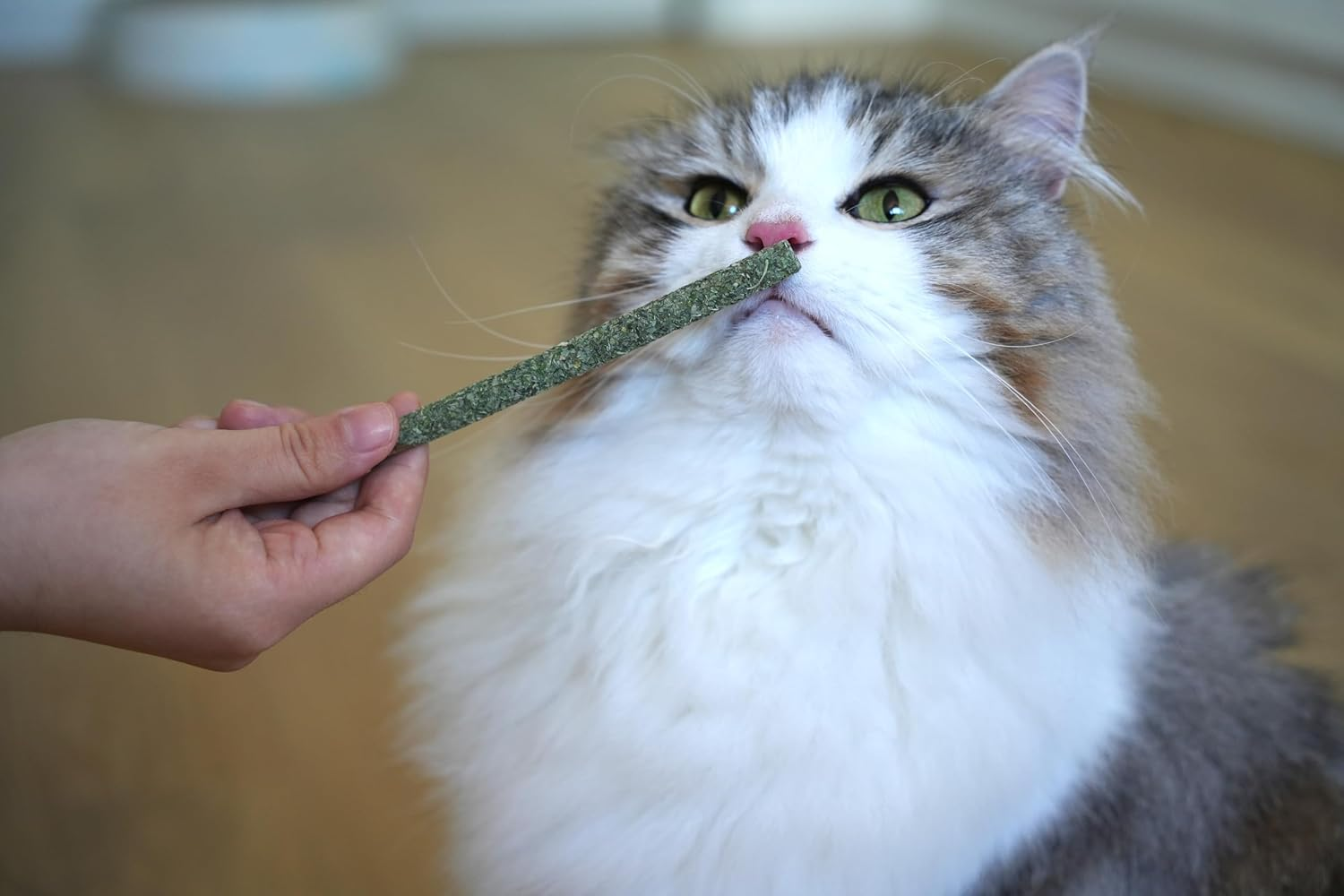 All-Natural Catnip Wand 6Pcs image number 2