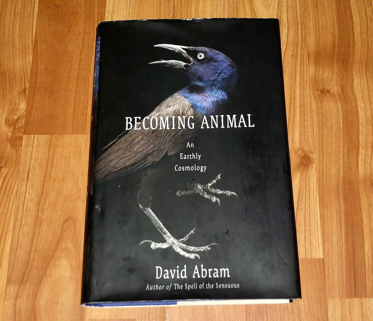 Becoming Animal: an Earthly Cosmology image number 1