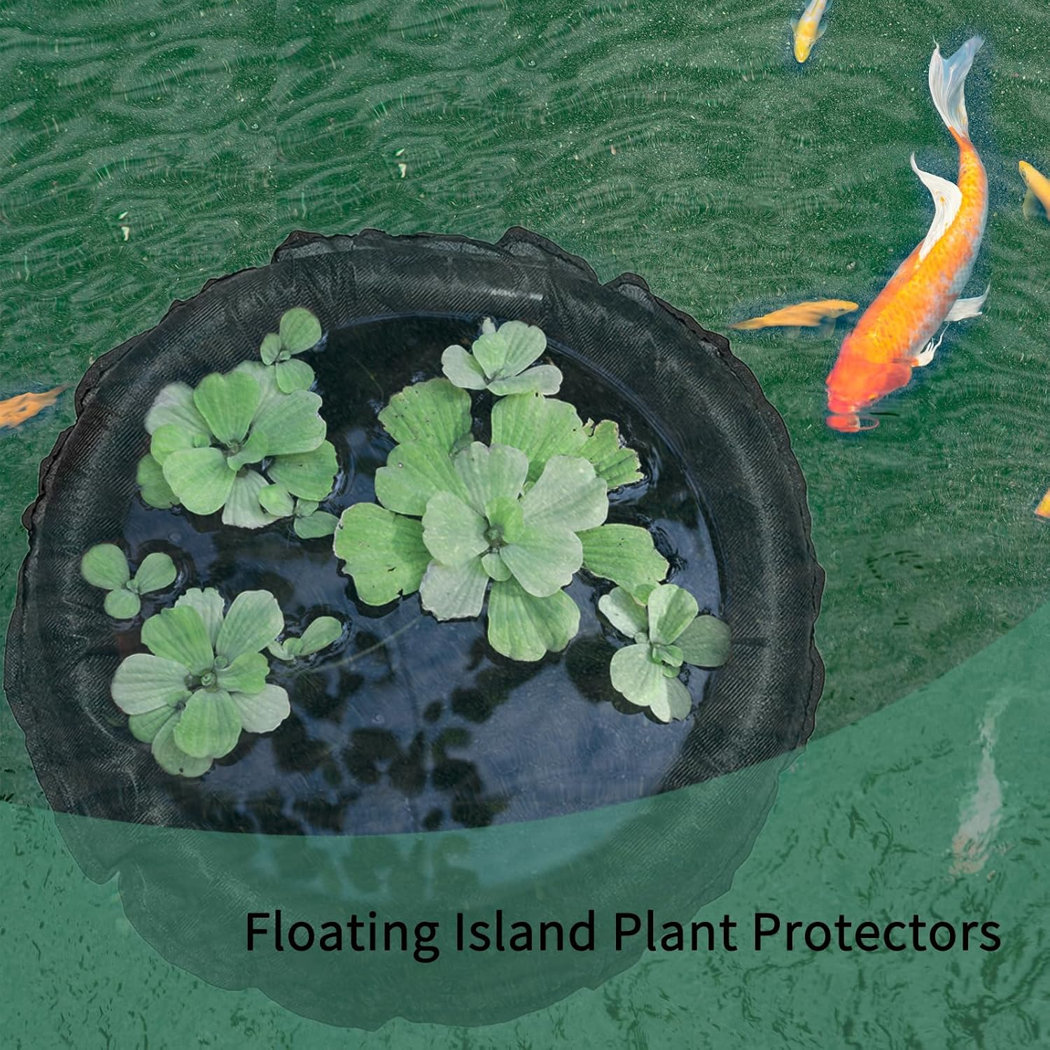 Floating Island Plant Protectors, Floating Plant Support Rings, and Fish Barriers Are Used to Protect Floating Island Plants in Ponds and Garden Water Features from Being Harmed by Koi (2, Black) image number 2