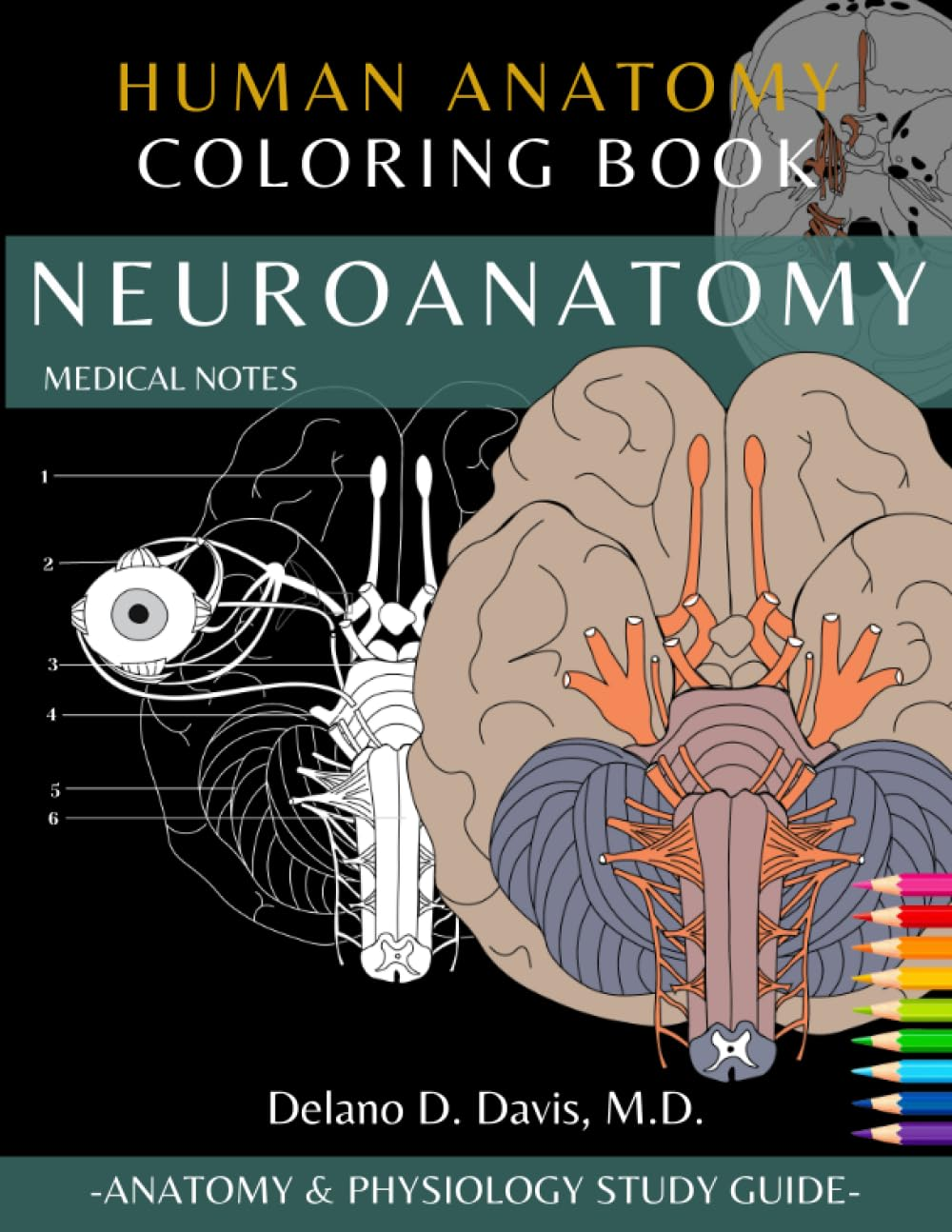 Neuroanatomy: Human Anatomy Coloring Book | Medical Notes: | Neuroanatomy Coloring Study Workbook for Medical & Nursing Students image number 1