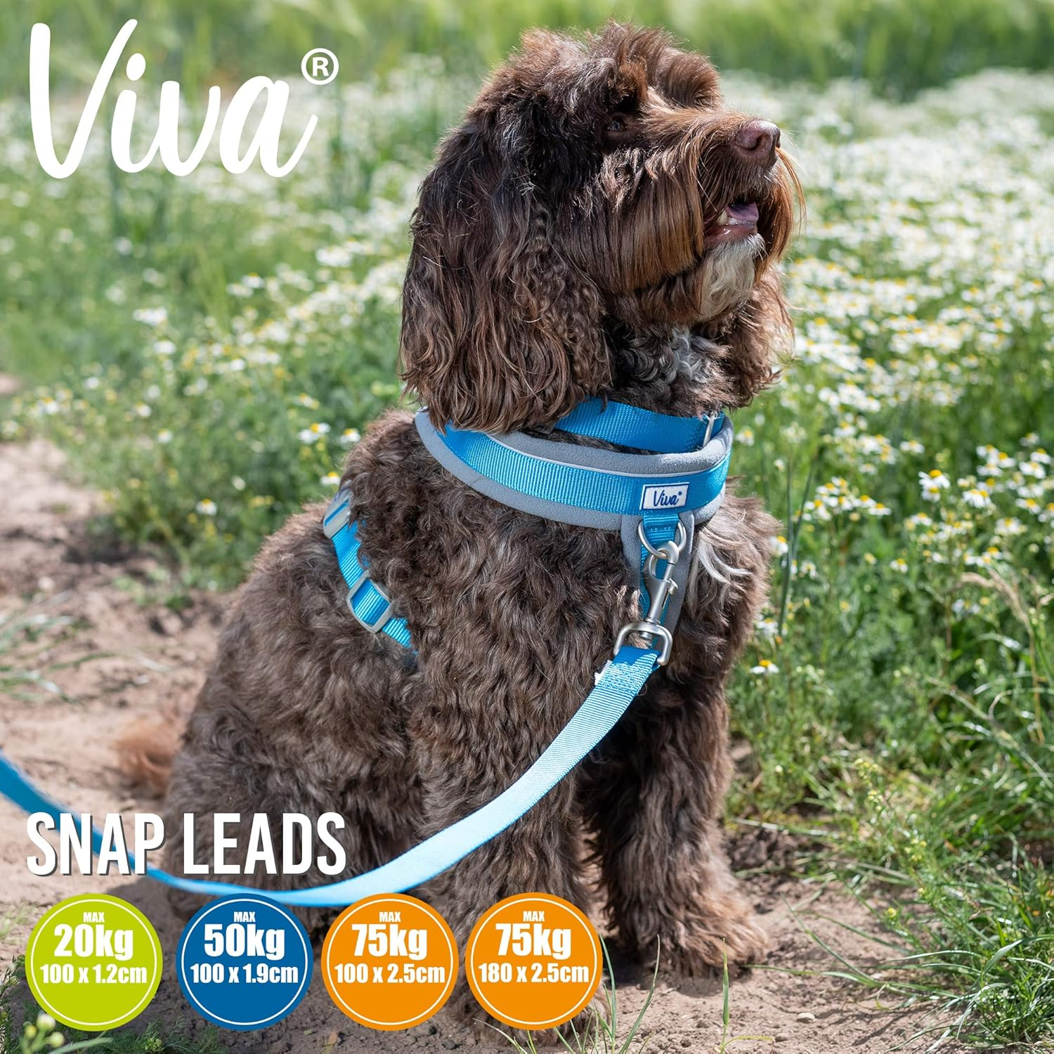 Ancol Padded Nylon Dog Lead, 1 M X 12 Mm, Purple image number 2