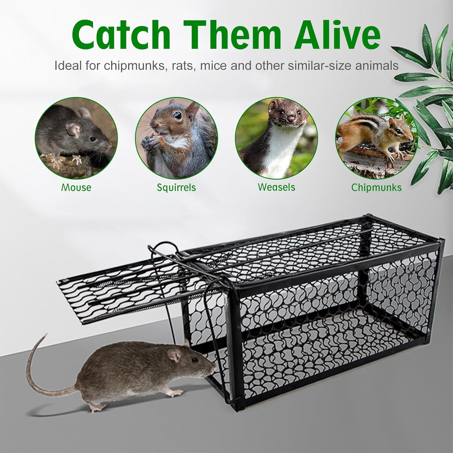 Humane Live Animal Trap Cage for Mice Rats Voles Chipmunks Hamsters Rodents - Safe Catch & Release Reusable Rodent Trap for Indoor Outdoor Far Pest Control - Small Medium Critter Cage Trap (2) image number 5