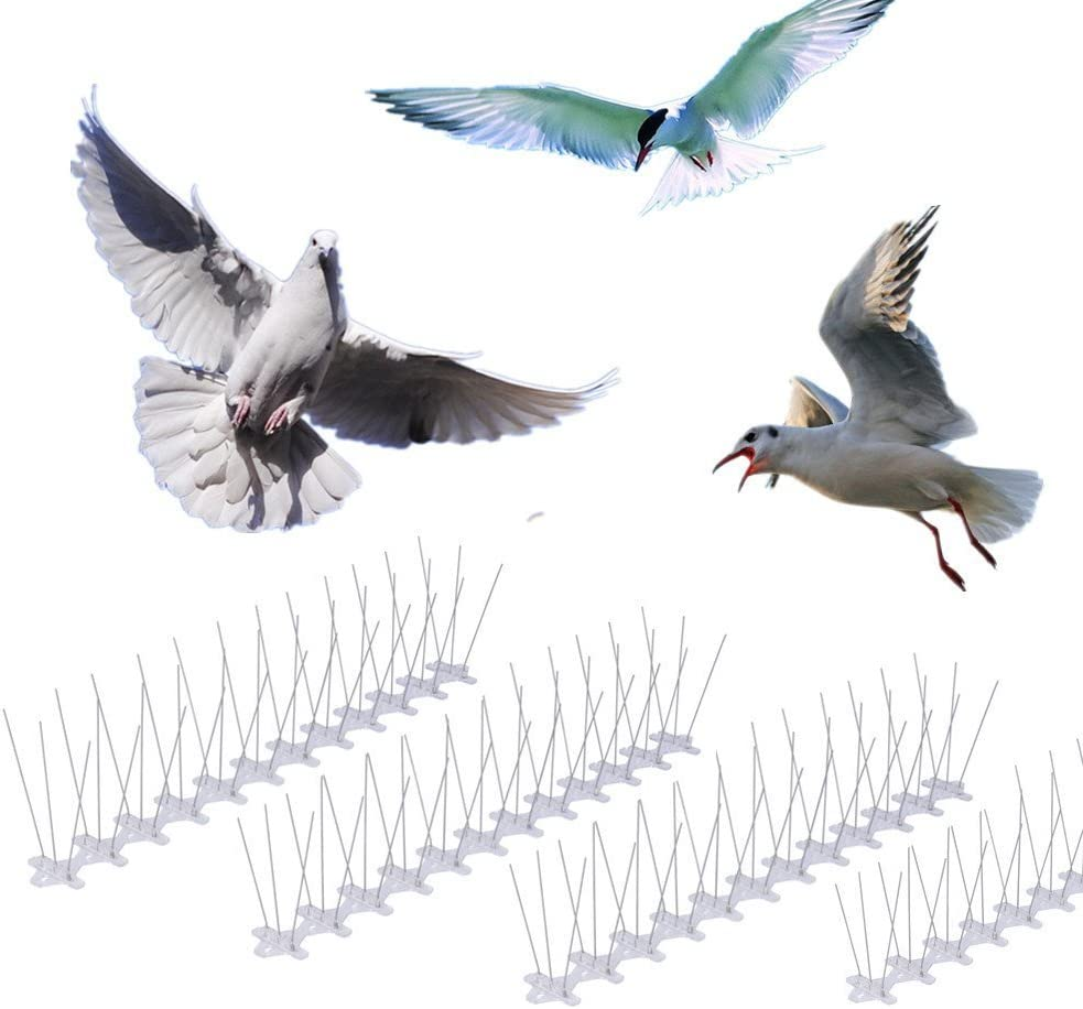 Skycabin Stainless Steel Pre-Assembled Bird Spikes for anti Seagull Possume Magpie Covers 4.8M Bird Deterrent Spike Fence to Keep Pigeon off from Garden Balcony Roof Window image number 2