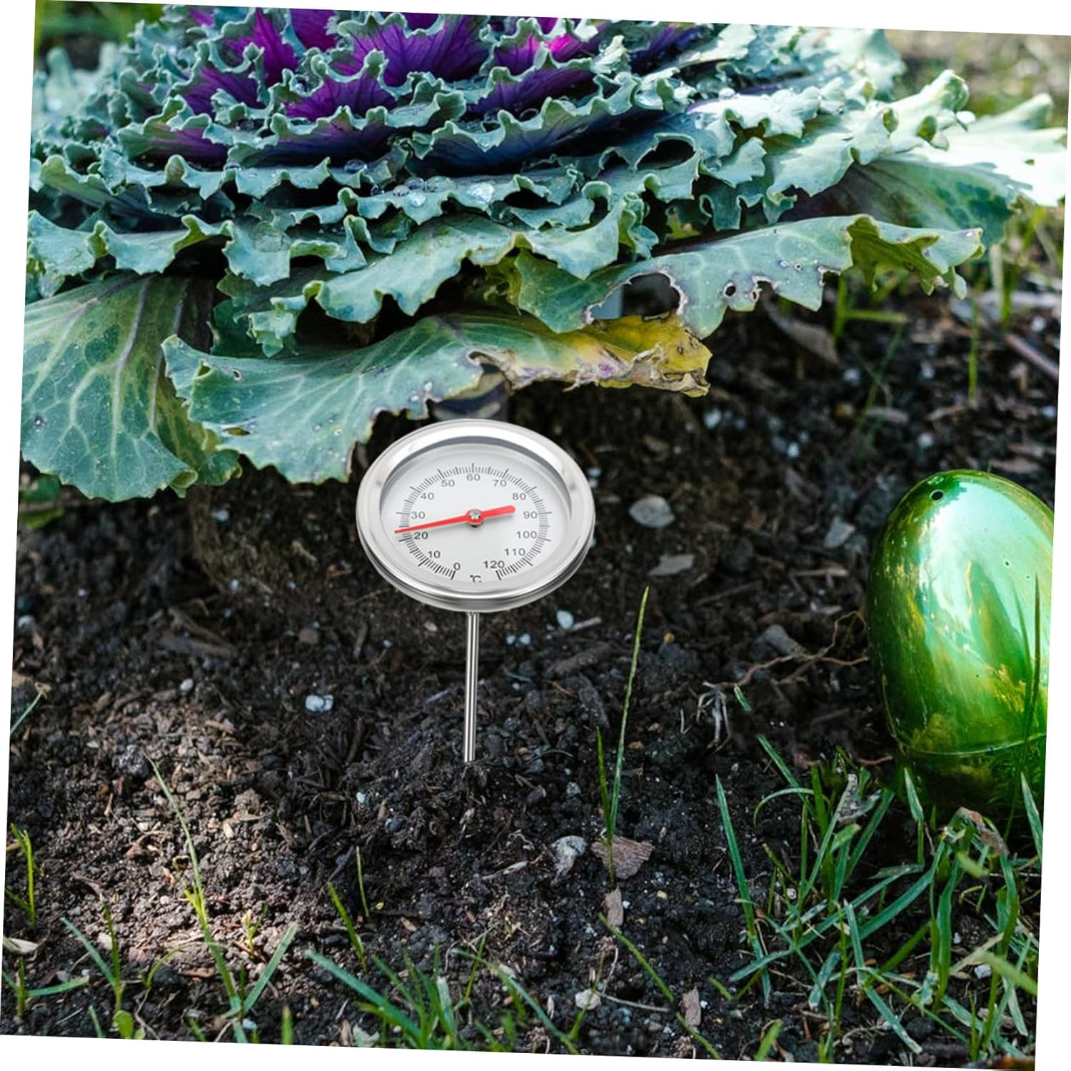 DECHOUS Precise Stainless Steel Soil Thermometer with Extended Probe for Compost and Gardening Physical Sensor Range C- C Professional Temperature Detector for Plant Growth image number 3