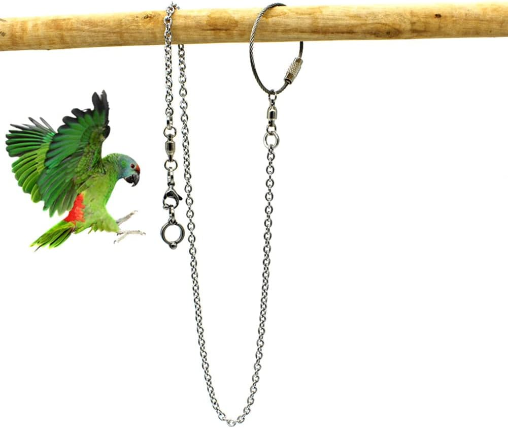 Parrot Foot Flying Chain | Stainless Steel Parrot Ankle | Bird Chain Tiger Skin Starling Peony Cockatiel Stand Open Foot Buckle Safe for Bird'S Legs