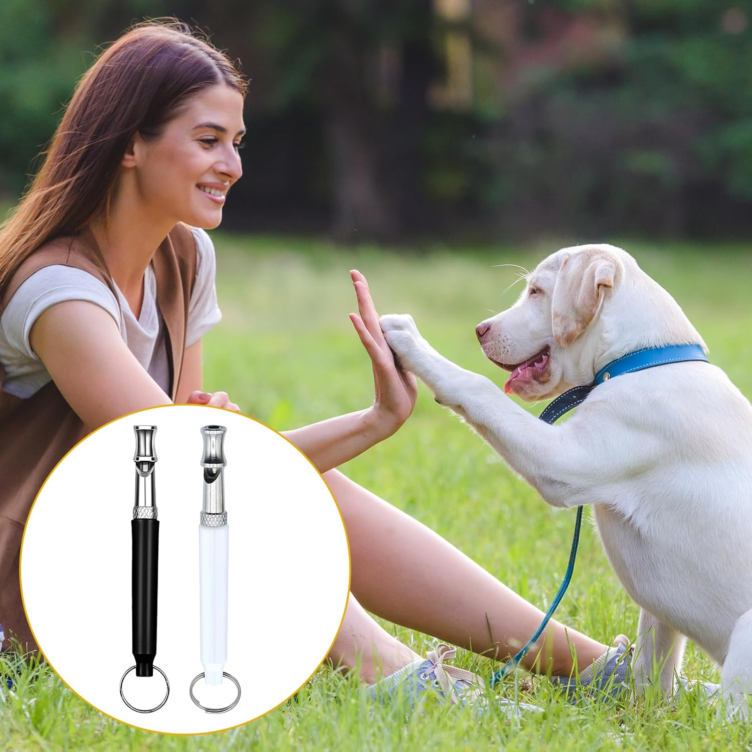 Pack of 2 Dog Whistles, High Frequency, Silent, against Barking, Dog Whistle, Recall, Adjustable Quiet Dog Whistles Device, anti Bark Whistles, Not Audible, Metal Whistle Training Lanyard for Dog