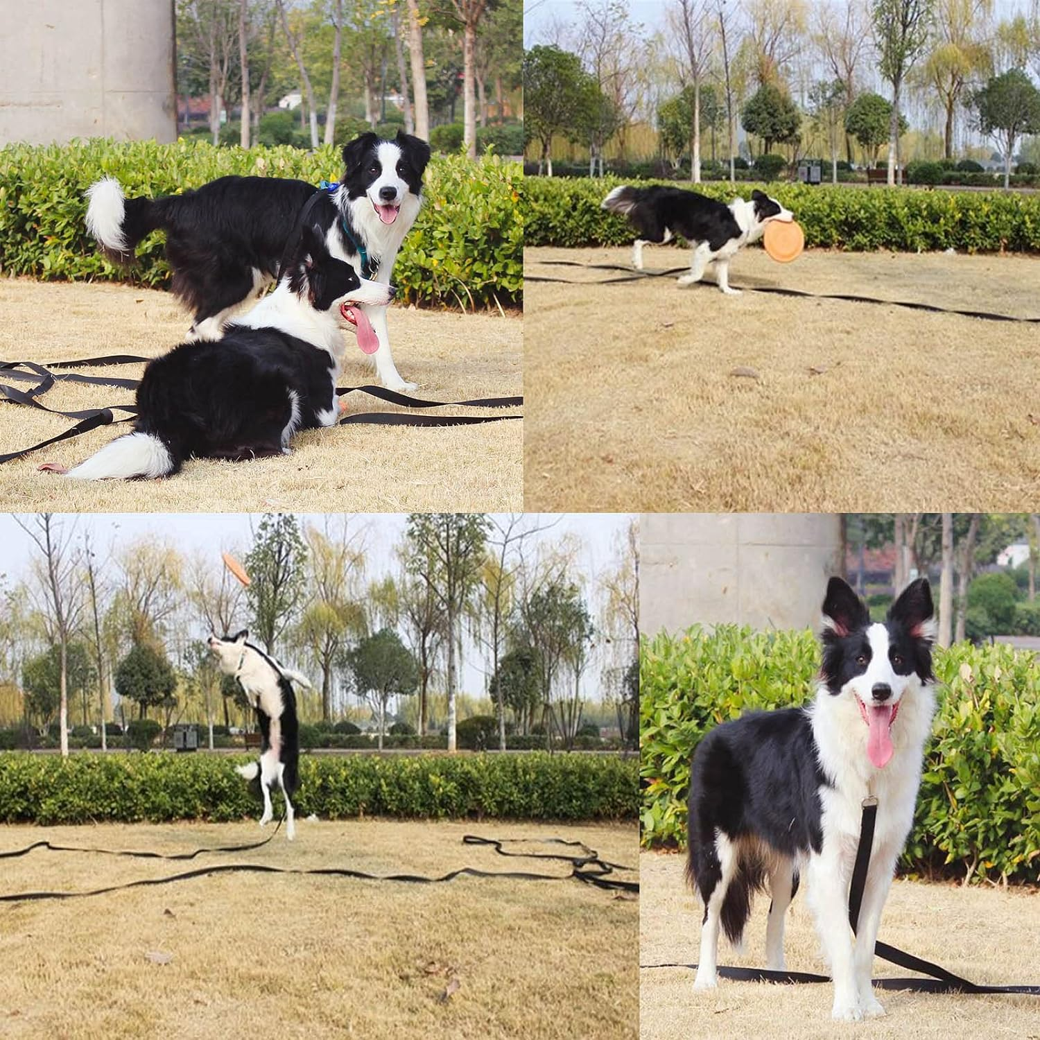 Navox Training Lead for Dog/Puppy 15M Red, Long Line Dog Lead, Nylon Long Dog Training Leash for Pet Recall, Hiking, Camping,Hunting, Backyard