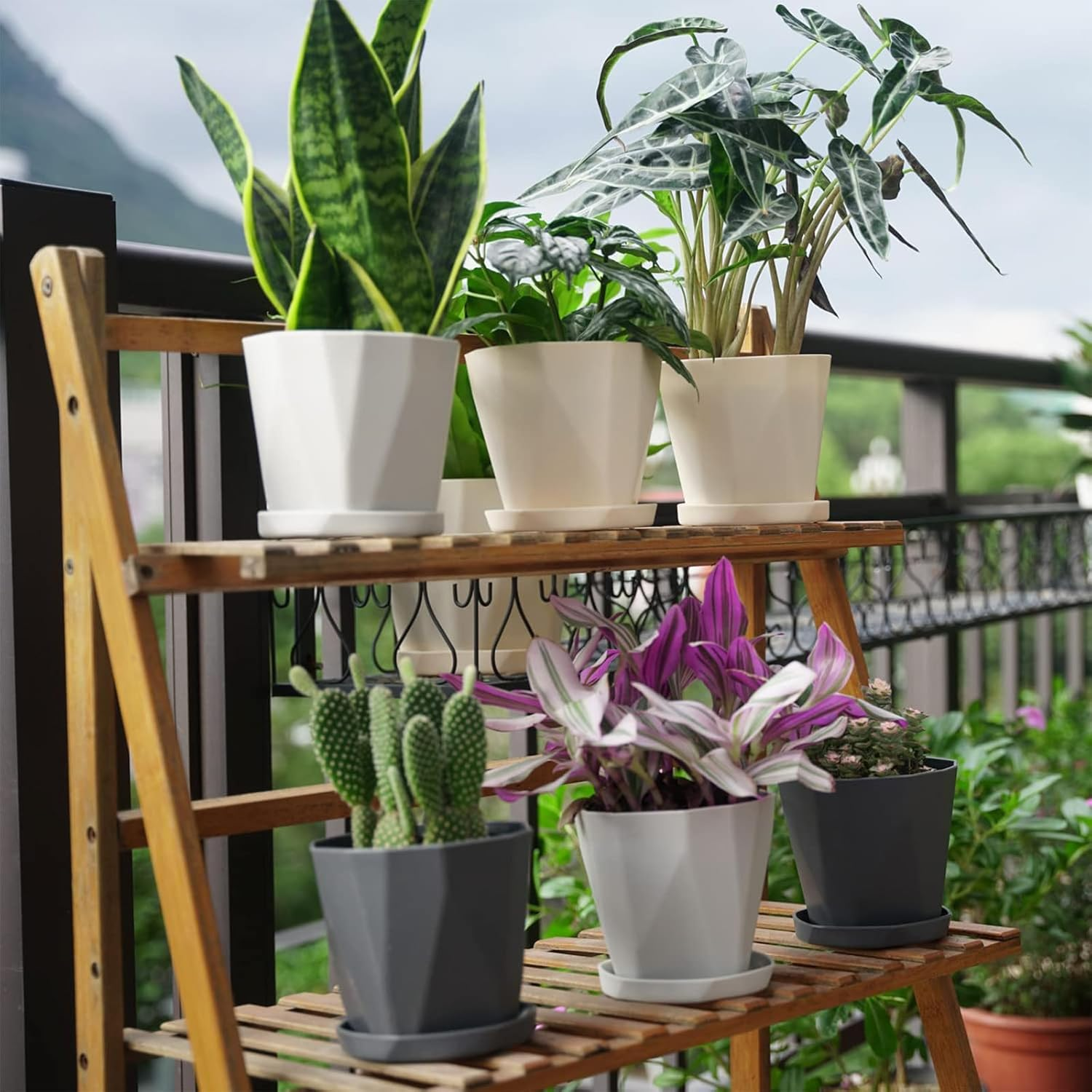 Cozioz Indoor & Outdoor Plant Pots, 12.7 Cm Plastic Flower Pots, Set of 6 with Drainage Holes and Saucers for Garden Use (12.7 Cm - 6 Pcs) image number 6