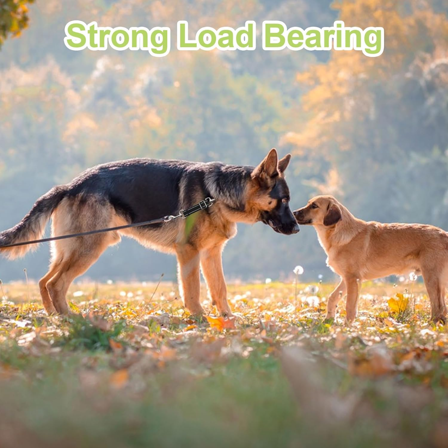 UFURMATE Dog Collar Clips, Adjustable Double Sided Collar Clasp, Leash Connector, Quick Release, 360 Degree Rotating Clips for Dog Walking, Camping, Hiking, Black, 2