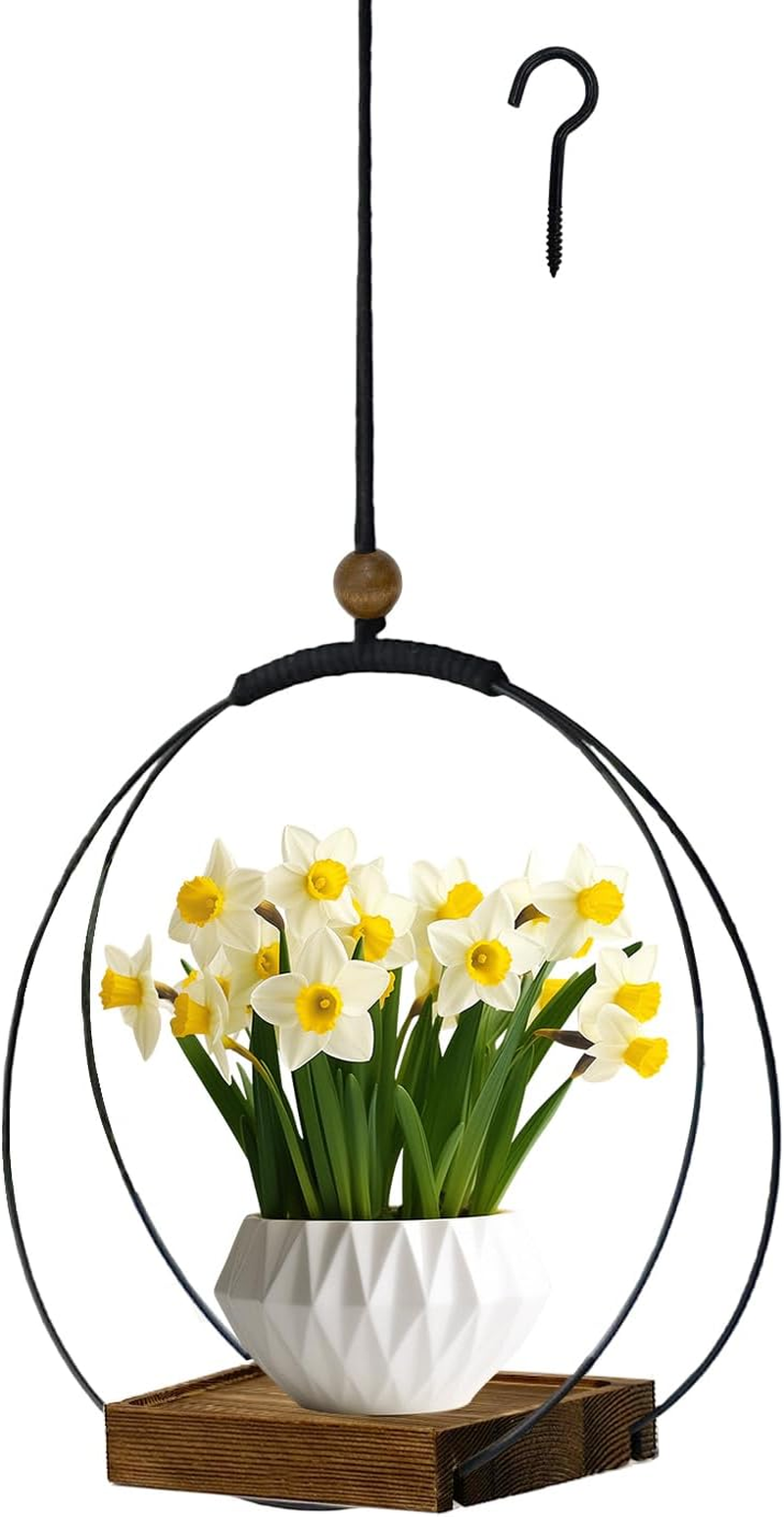 Hanging Planter for Indoor Plants, Black Plant Hanger Indoor with Sturdy Wood Base, Modern Boho Macrame Plant Hanger, Hanging Wall Ceiling Window Home Decor (Plants/Pots Not Included) image number 6