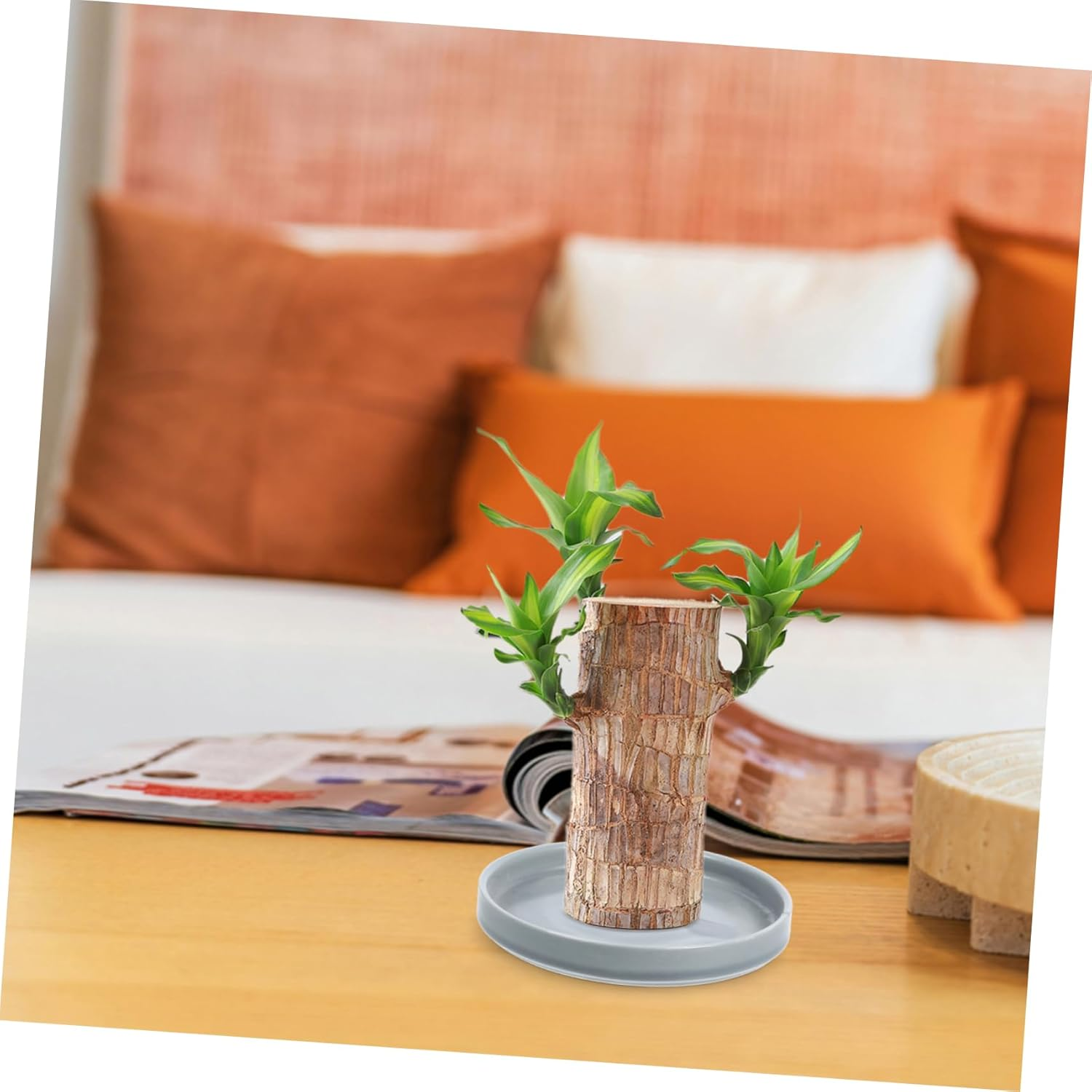 IWOWHERO Flower Pot Drainage Tray Potted Plants Saucer Stable Base for Types of Gardening image number 3