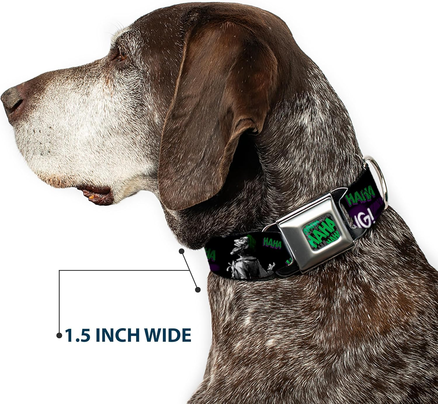 Dog Collar Seatbelt Buckle Joker Die Laughing Haha Black Purple Green 15 to 26 Inches 1.0 Inch Wide image number 5
