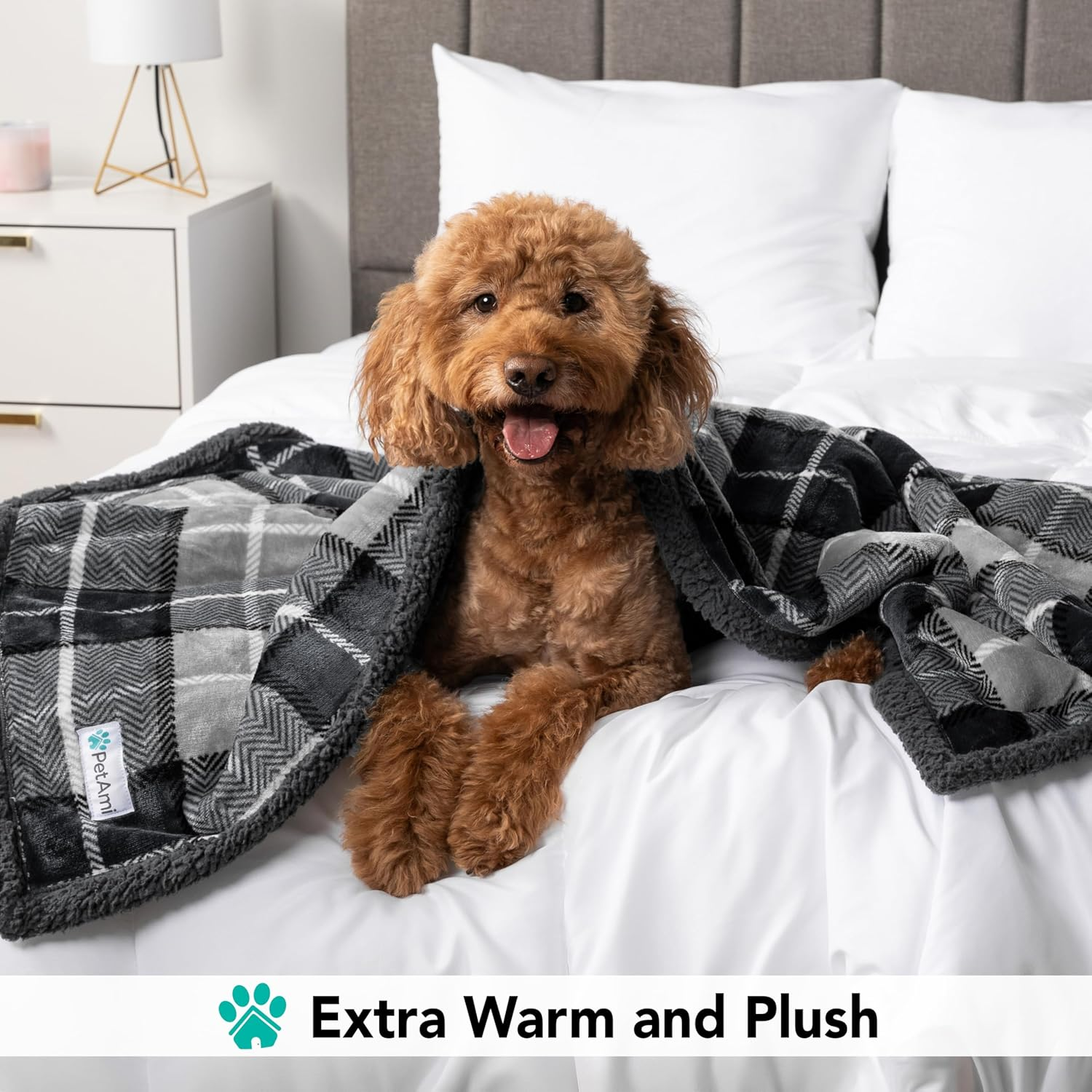 Petami Premium Pet Blanket for Dog, Puppy | Plush Pet Fleece Plaid Throw for Medium & Large Dogs | Super Soft, Reversible, Warm, Sherpa Microfiber Cat Blanket | 60 X 40 Inches image number 2