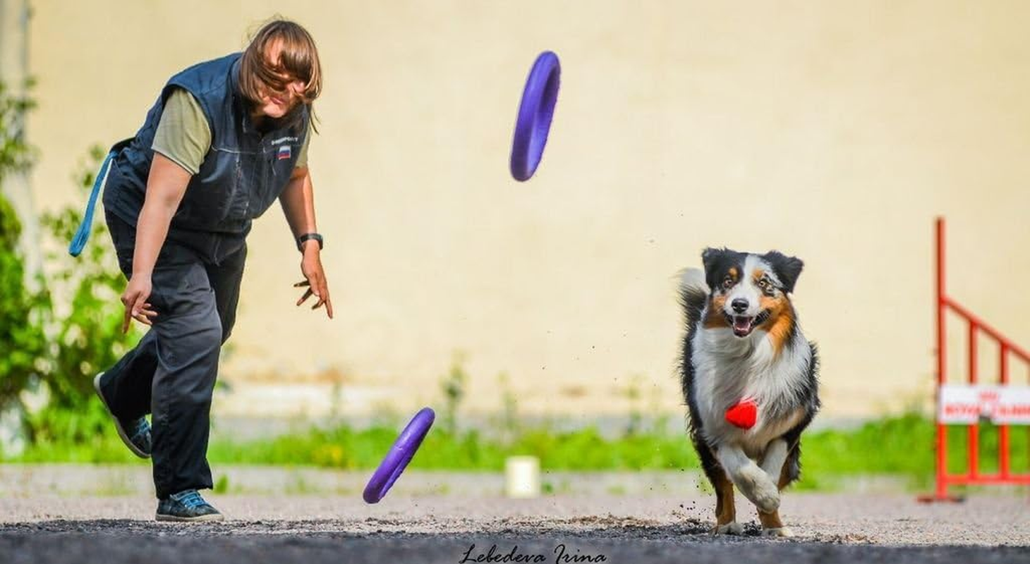 Puller Standard Two Rings Not Just Toy for Dogs Active Toy for Dogs Fitness Toys for Dogs Ideal for Medium and Large Breeds Dog