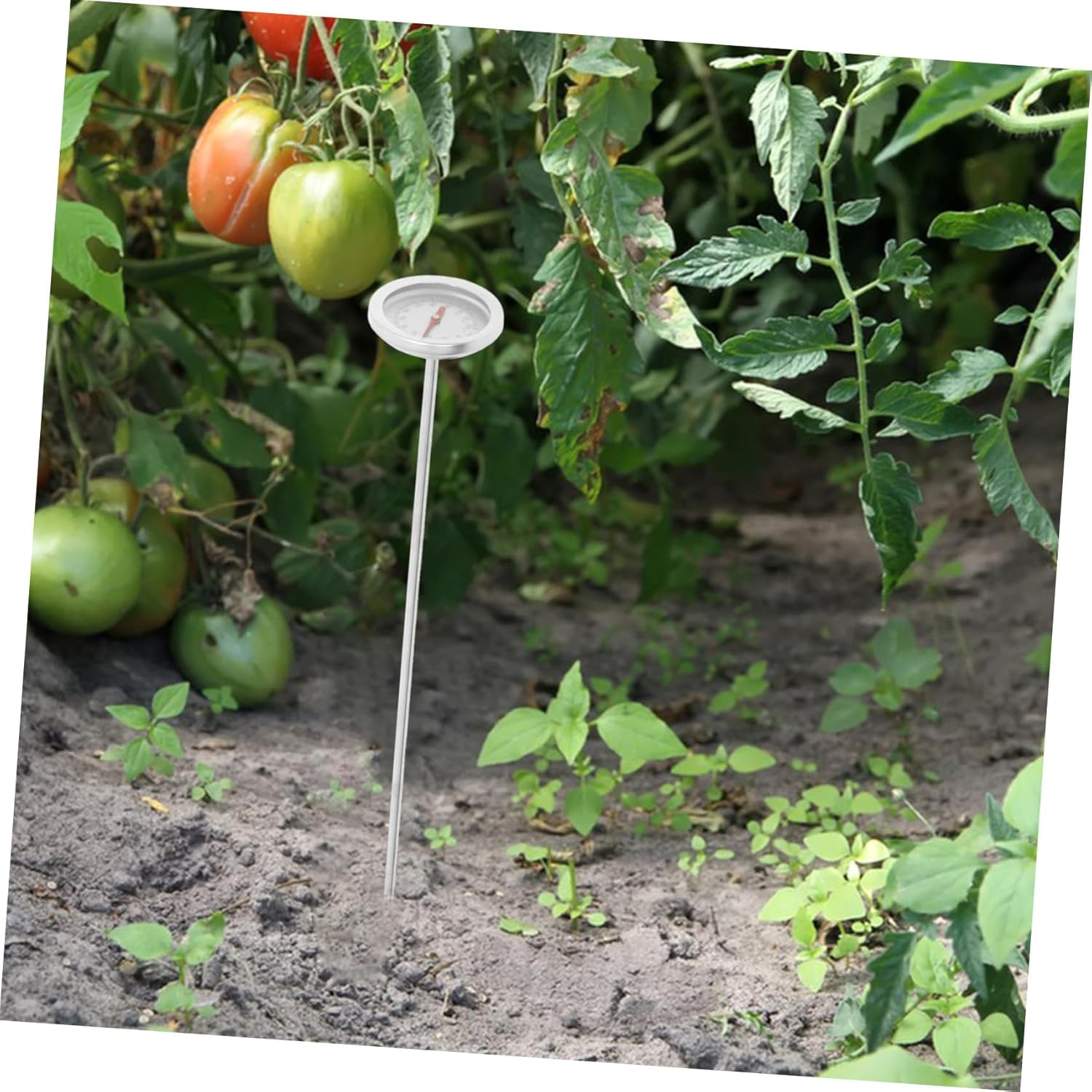 DECHOUS Compost Temperature Thermometer Stainless Steel Probe Soil Thermometer for Gardening Reusable Tool for Backyard Lawn and Greenhouse image number 5