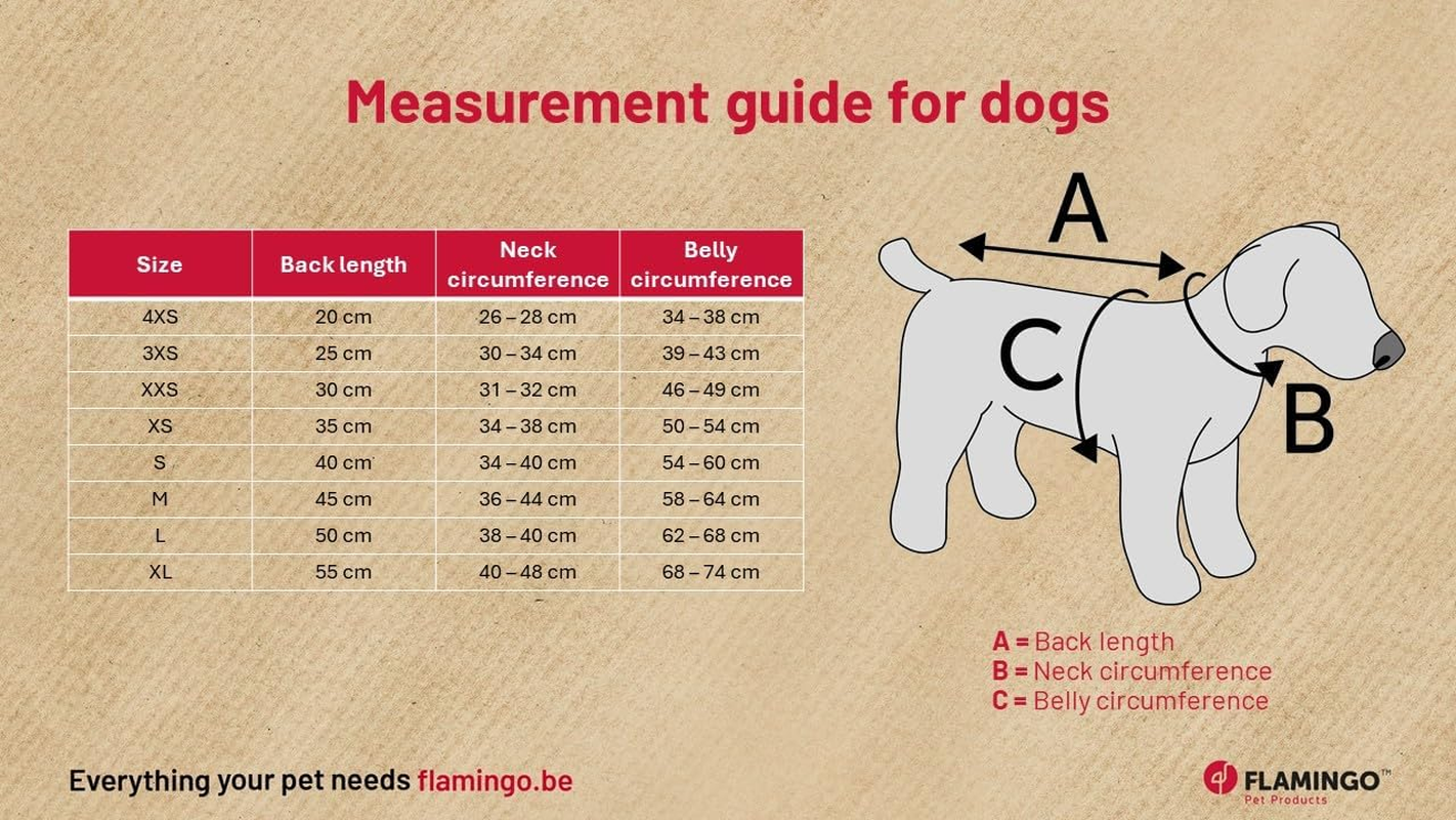 Winter Dog Coat - Tosca Mint Green - A: 35 Cm W: 34-38 Cm C: 50-54 Cm - Polyester - Washable at 30 &deg;C - Soft Fleece - High Collar - Flamingo image number 2