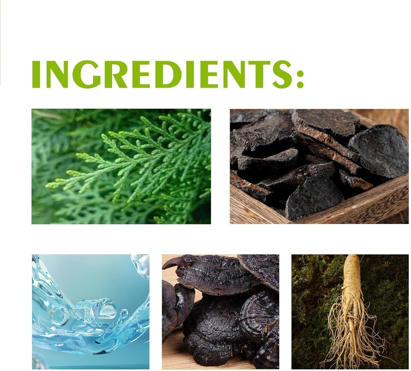 Mild Formula Long Lasting Hair Dye Set,Long-Lasting Single Step Hairdye Kit，Plant Extracts Hair Color Dye Cream for Gray Coverage (Natural Black) image number 6