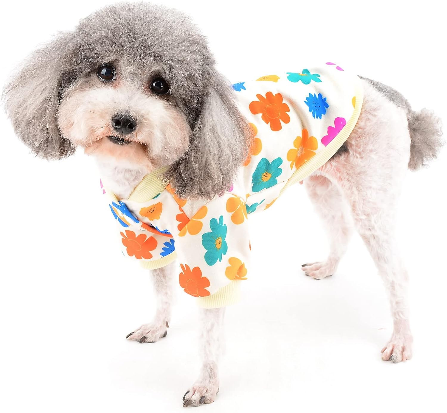 Zunea Dog Sweaters Coat for Small Dogs Winter Pullover Sweatshirt Flowers Printed Puppy Clothes Jumper Soft Warm Pet Jacket Coat Female Apparel Clothing for Chihuahua Yorkie White M