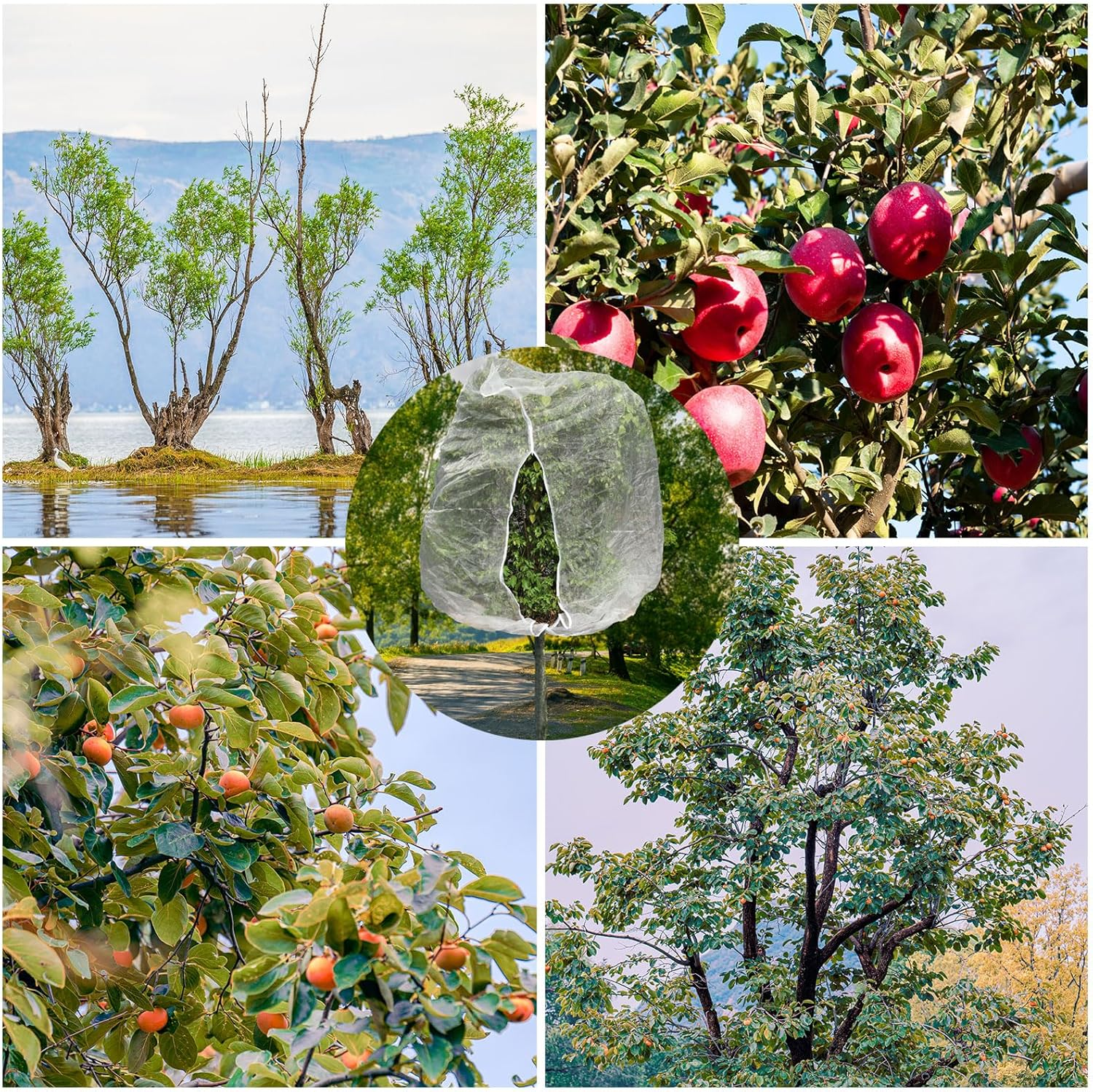 10Ftx10Ft Large Fruit Tree Netting Bags, Bird Netting for Fruit Trees Cicada Tree Netting for Fruits Tree Garden Vegetables Protection image number 3