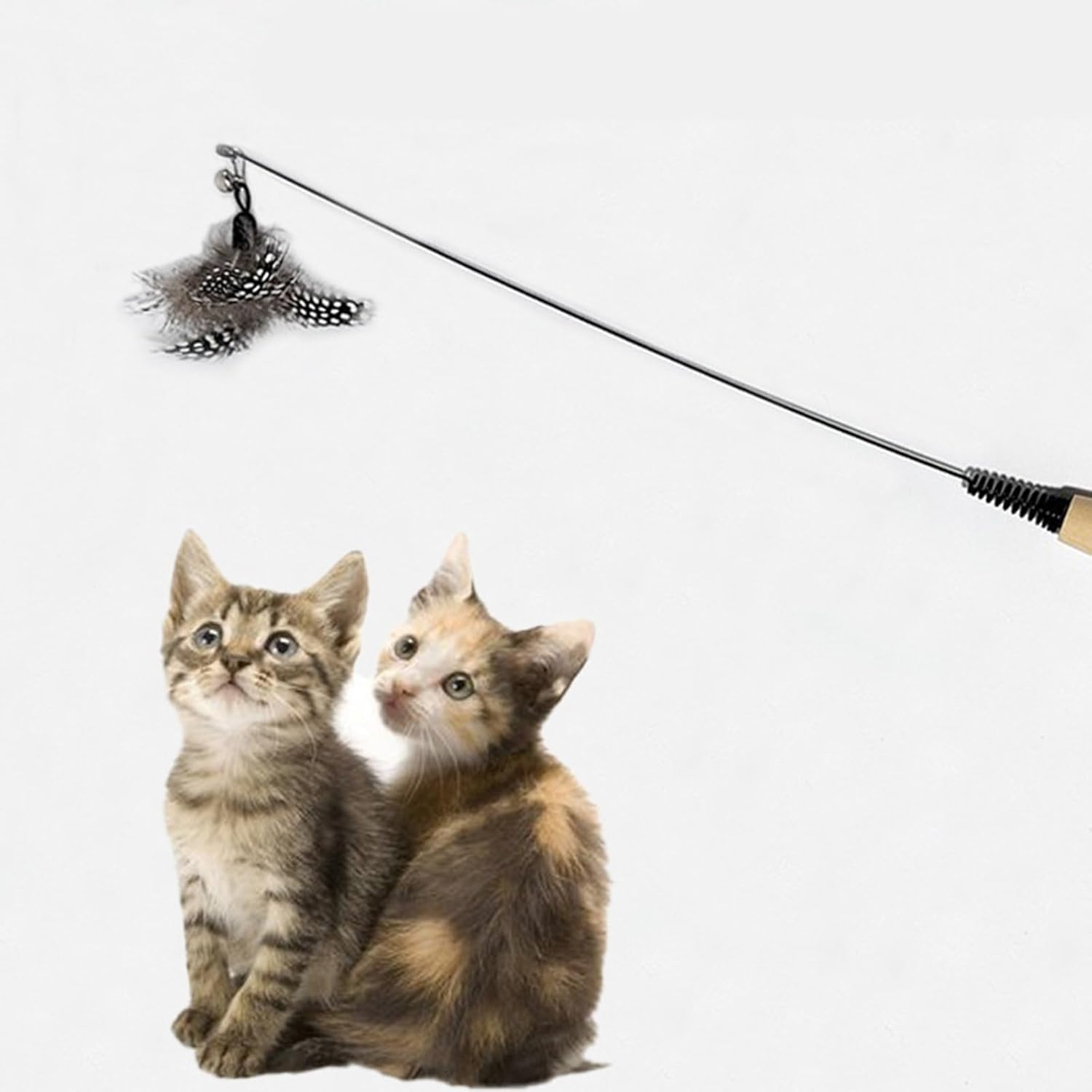 Hyxodjy Pack of 8 Cat Feather Toy, Cat Toy Set, Cat Toy Feathers, Replacement Cat Feather Toys, Cat Toy with Feathers, Interactive Cat Toy for Cats and Kittens image number 1