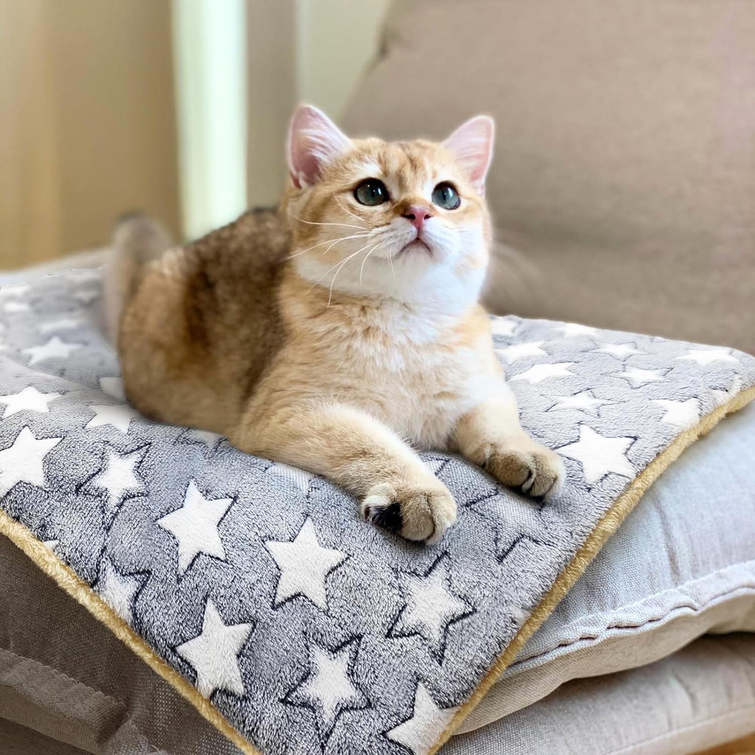 2 Pack Cat Blanket for Indoor Cats Ultra Soft and Warm Calming Cat Bed Fleece Pet Mat for Anxiety and Stress Washable Kitten Blanket image number 3