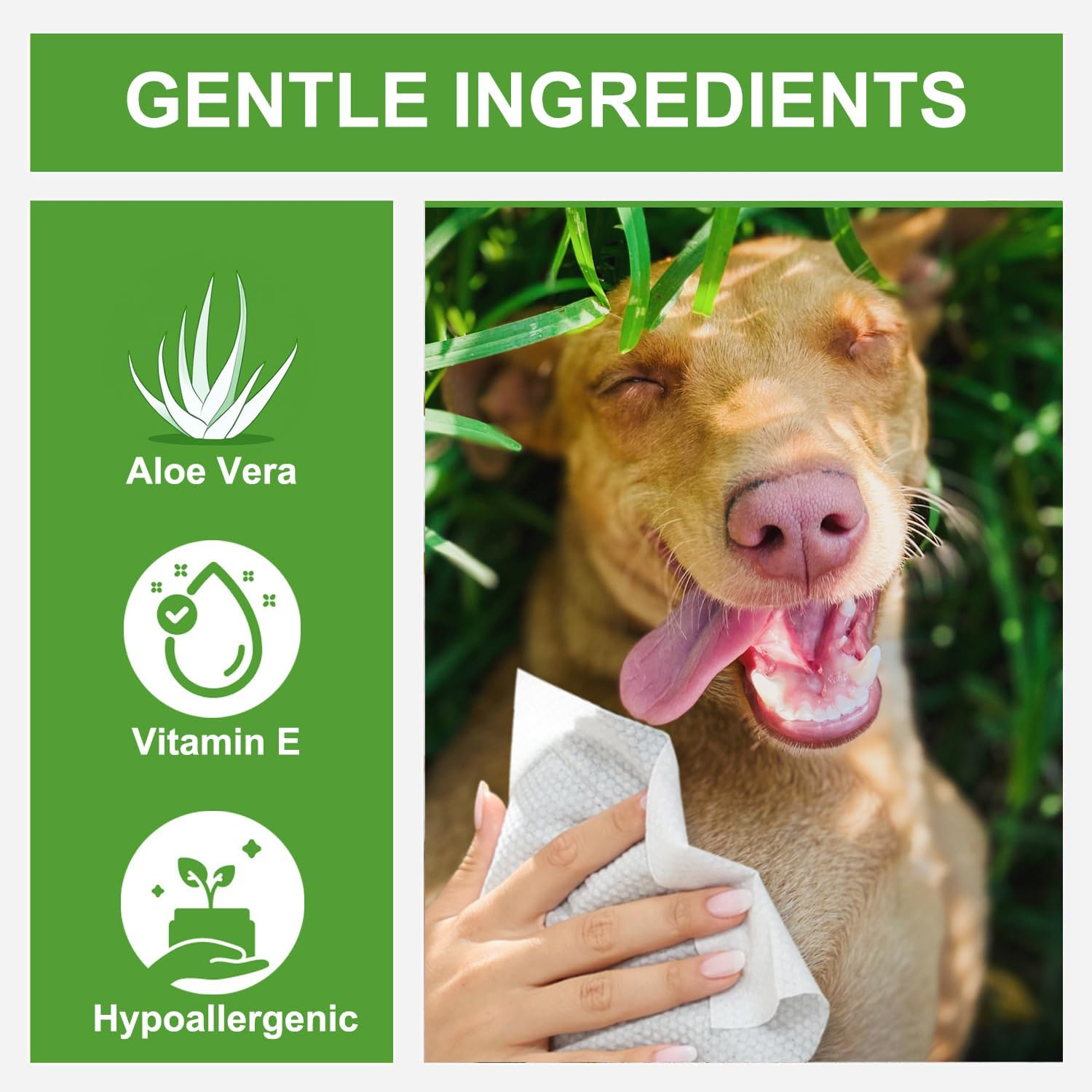 Dog Wipes Cleaning Deodorizing Pet Wipes for Dogs Cats Big Thick Large Multipurpose Grooming Hypoallergenic All Puppy Wipes Dog Wipes Quick Bath for Paw and Butt Face Body (1 Pack-80Count) image number 4