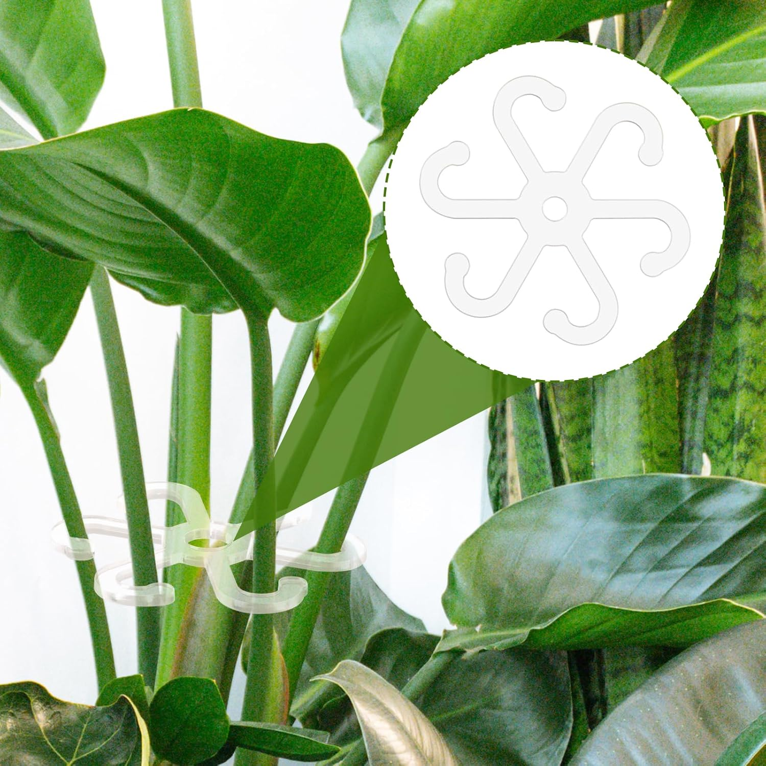 4Pcs Climbing Plant Stem Supports with Holes, 2 Sizes Flower Plant Stem Hooks Trellis Plant Stem Support Hooks Climbing Rack for Vertical Growth (Transparent) image number 1