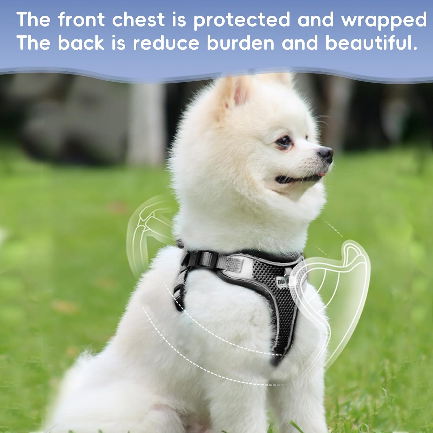 Cat Harness with Lead, Escape Proof, Adjustable Cat Harness, Escape Proof, Soft and Breathable Mesh, Cat Lead Harness for Cats and Small Dogs, Outdoor Training image number 5