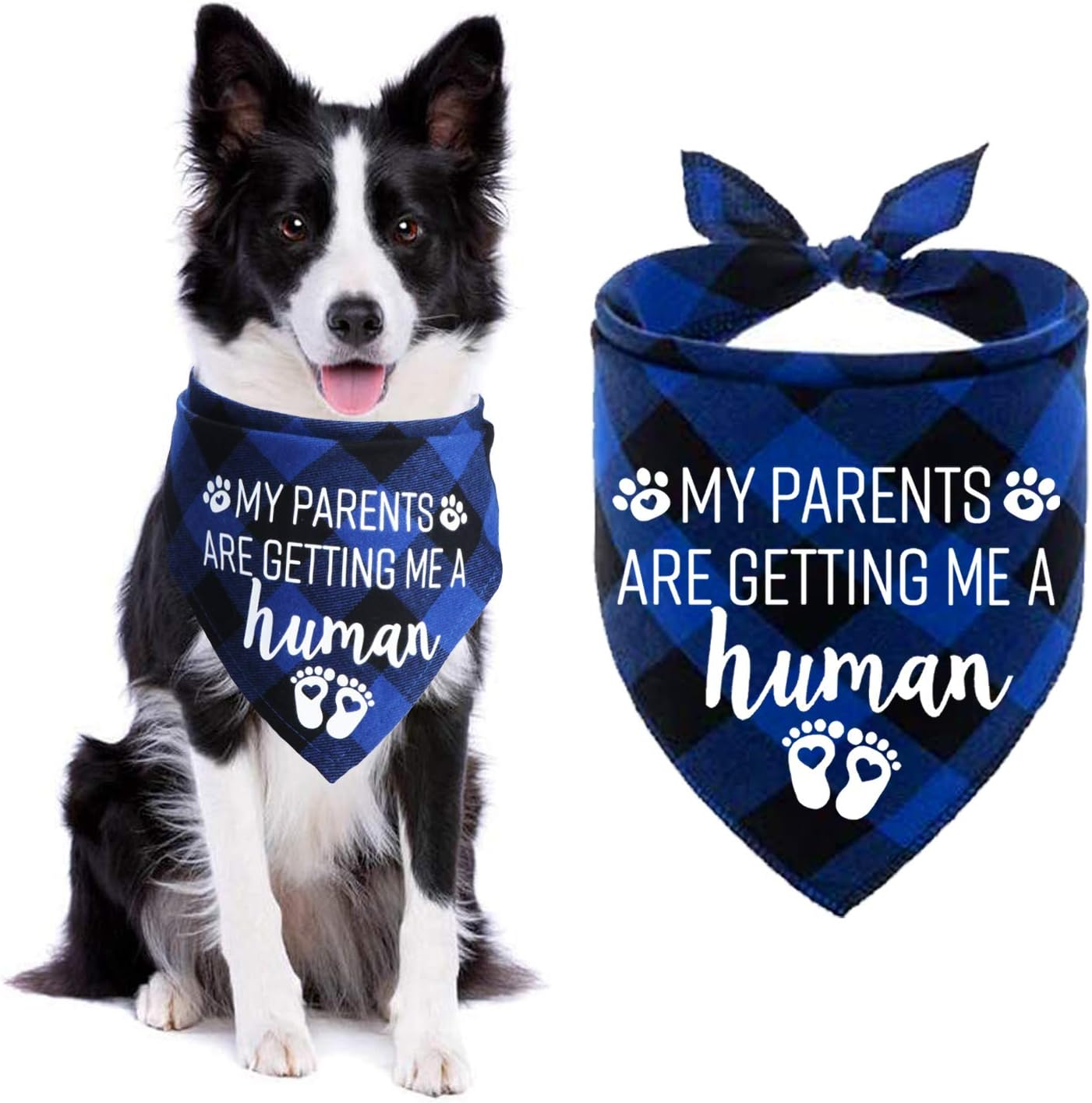 STMK Pregnancy Announcement Plaid Dog Bandana, Baby Announcement Dog Bandana, Gender Reveal Photo Prop for Dog Puppy (Blue, 24" X 16.8")