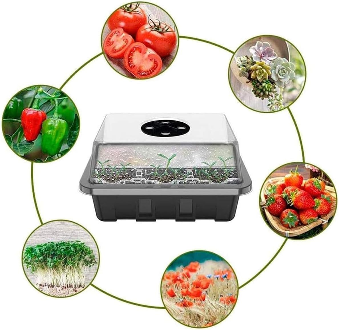 AIMALL Plastic Seedling Tray with Transparent Lid, 9 Cells, Seedling Pot Set for Gardening, Thermal Insulation and Moisturizing, 7.28-Inch X 5.7-Inch for Planting and Growing