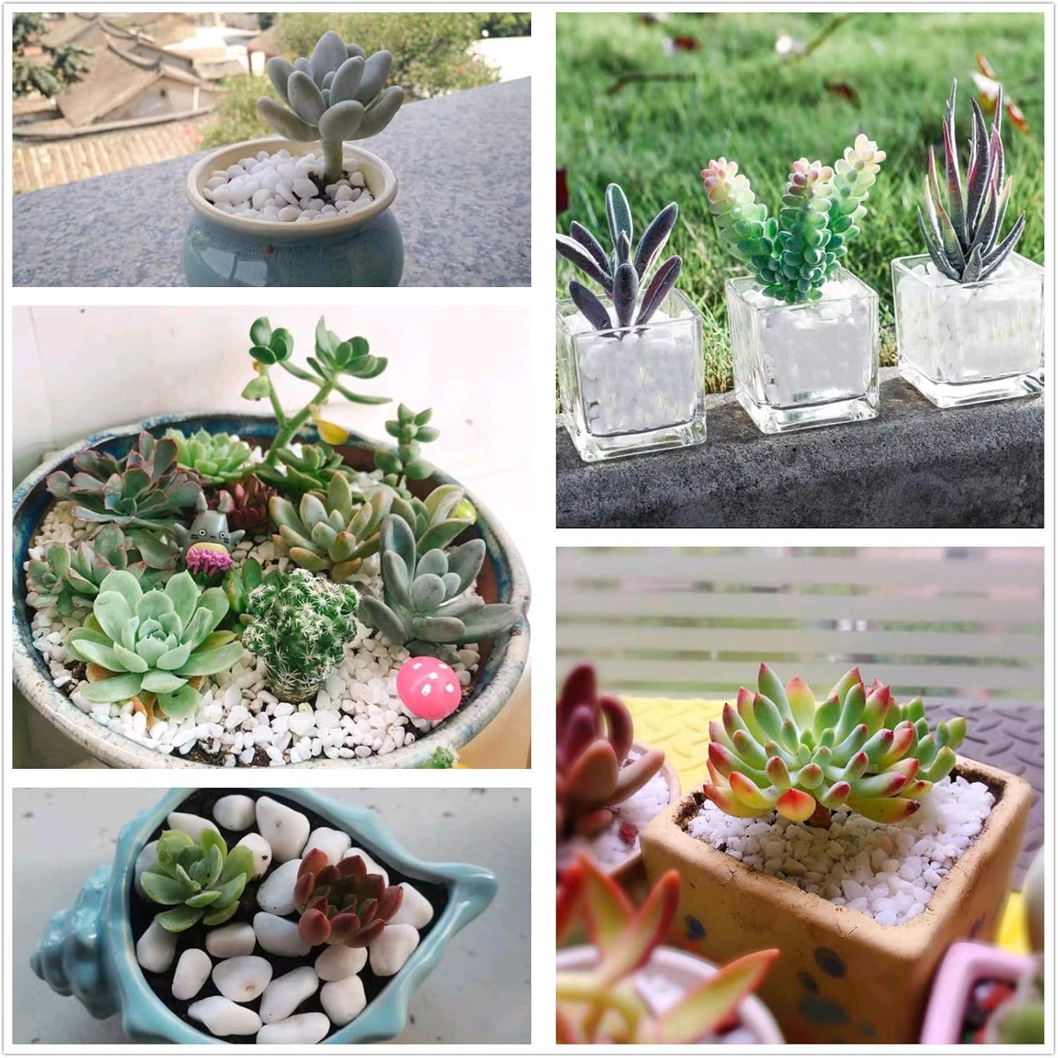 Natural Polished Decorative White Pebbles - Small Stones 3/8" Gravel Size,River Rocks Pebbles for Plants, Home DIY Decor,Aquarium Gravel,Vase Fillers,Fairy Garden,Landscaping Outdoor Stones. image number 5