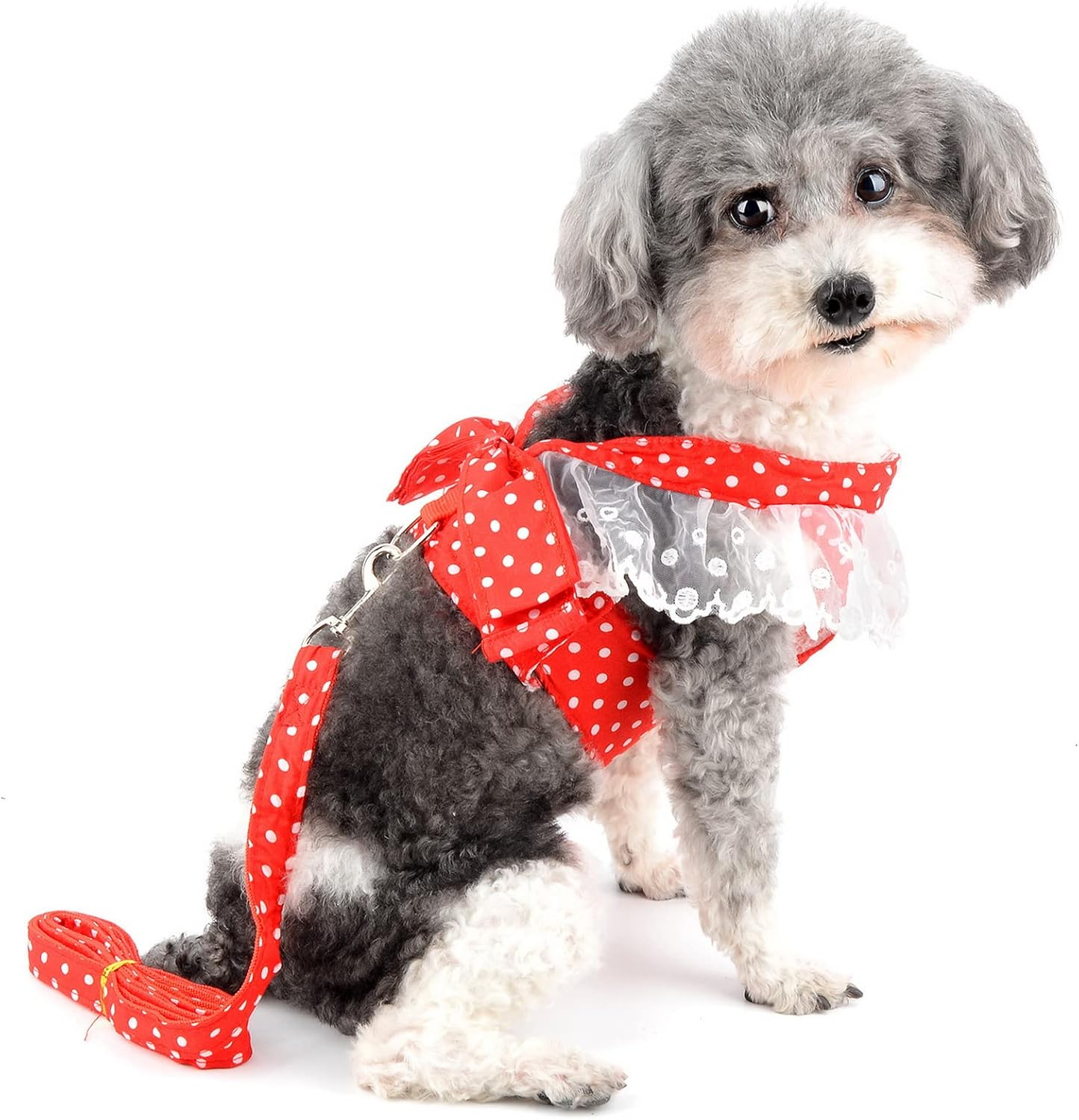 Zunea No Pull Dog Vest Harnesses for Small Dogs Cats Polka Dots Puppy Girls Harness and Lead Set Soft Breathable Mesh Harness Dress with Bowknot Lace Neck Pet Apparel for Chihuahua Yorkie Red XXL image number 2