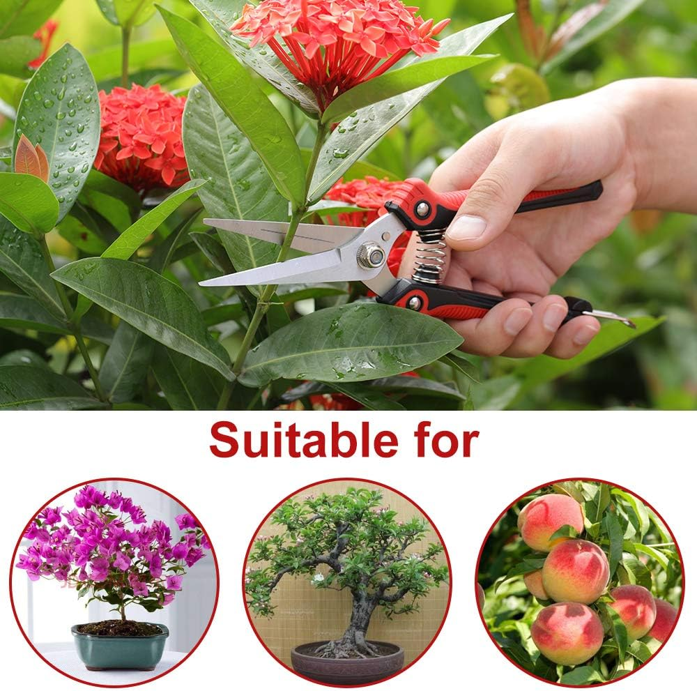 WYF 8.1&Prime;Gardening Hand Pruner Pruning Shear with Straight Stainless Steel Blades,Ultra Sharp Multi-Purpose Scissors for Garden Harvesting Fruits & Vegetables,Trimming Flowers and Plants (Red) image number 2