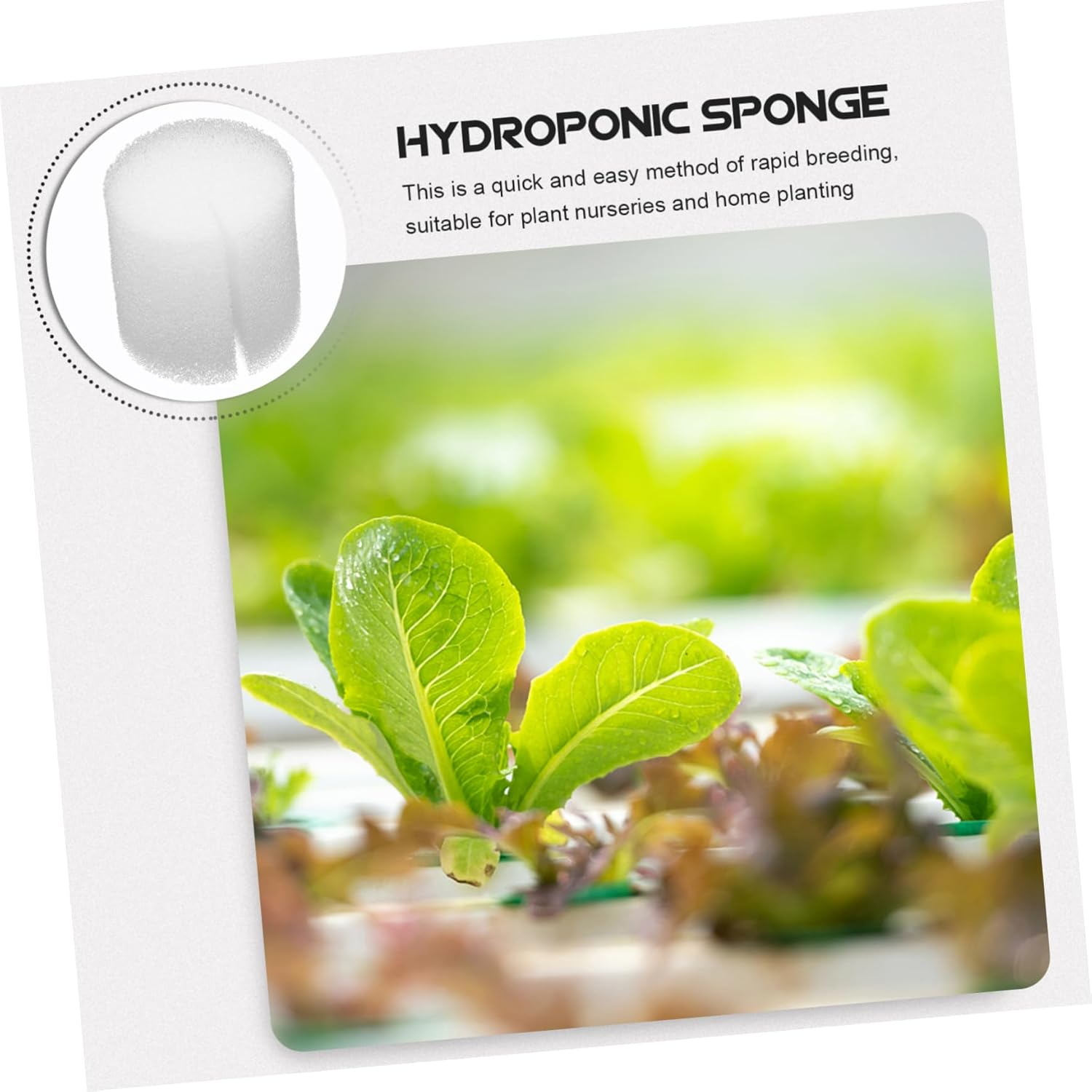 ORFOFE 100Pcs Hydroponic Sponge Vegetables Cultivation System Gardening Tools Moisturized Plant Growing Supplies for Indoor Garden image number 5