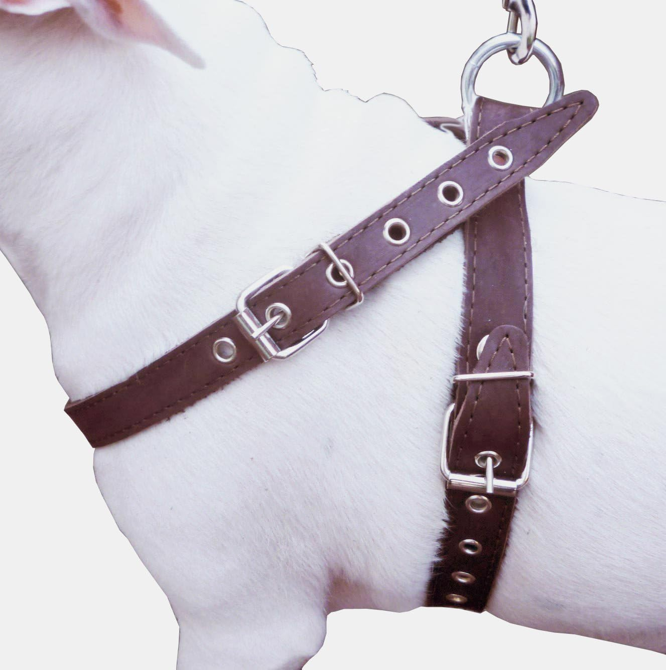 Brown Leather Dog Harness Medium. 21"-25" Chest, 1" Wide Straps image number 3