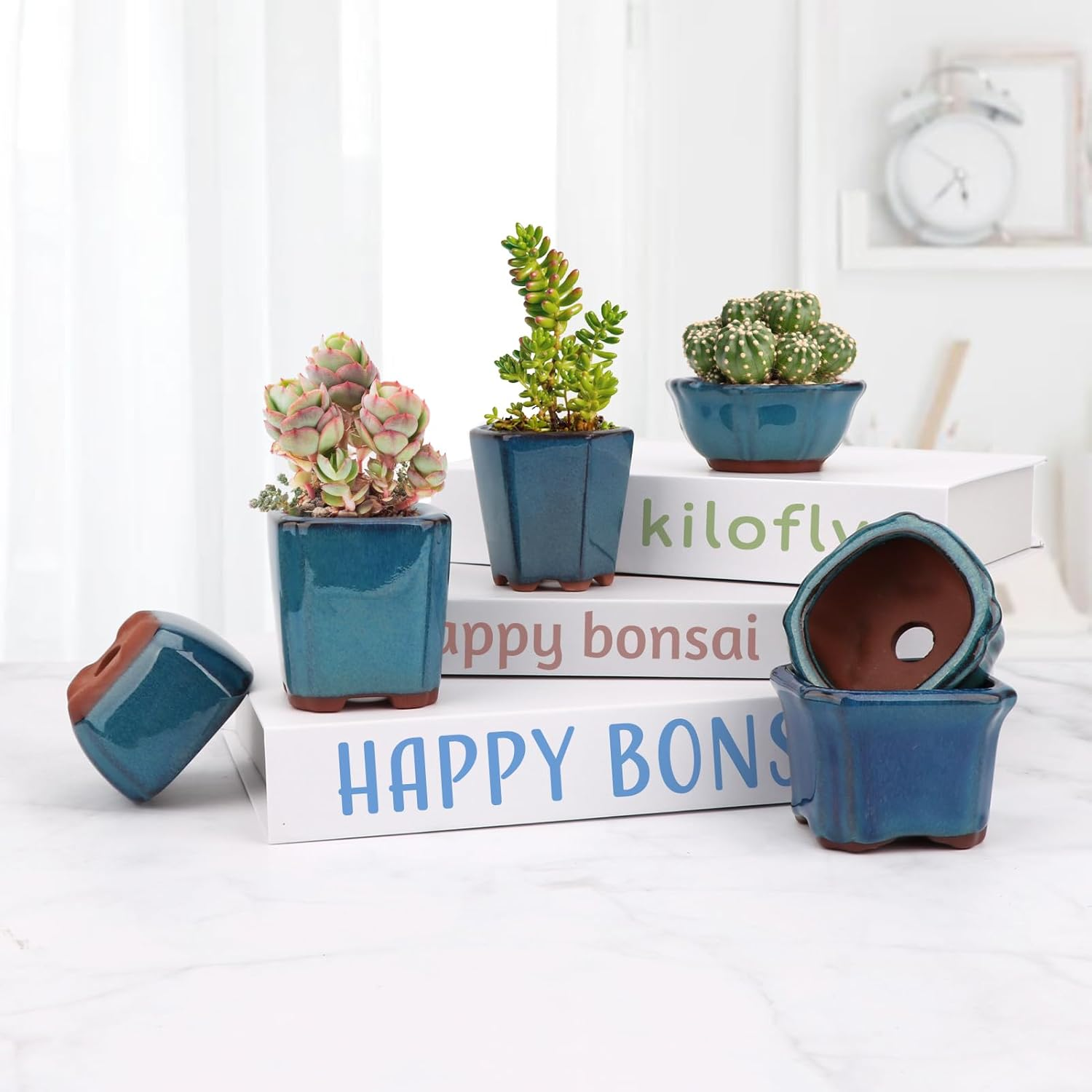 Happy Bonsai 6 Pc Mini Glazed Pots Value Set + 6 Soft Mesh Drainage Screens