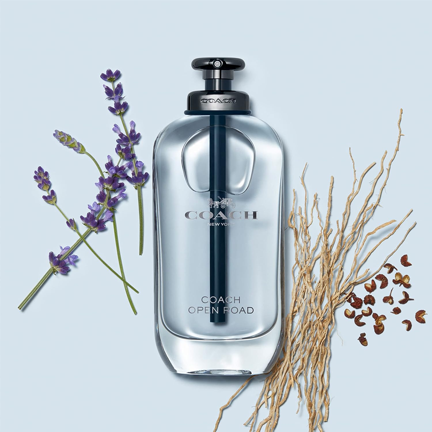 Coach Open Road image number 3