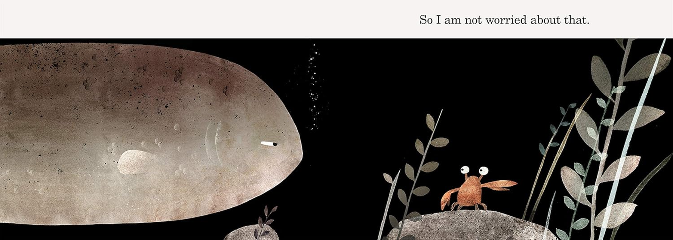 This Is Not My Hat: a Cautionary Tale with Jon Klassen&rsquo;S Signature Humour, Winner of the Caldecott Medal and Kate Greenaway Medal image number 3