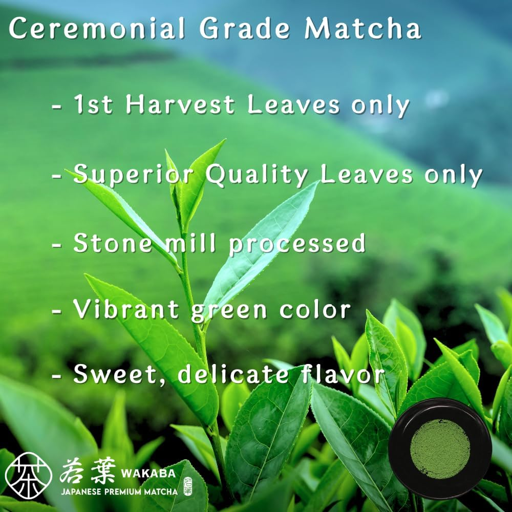 WAKABA 1St Harvest Premium Organic Matcha &ndash; Ceremonial Grade 30G from Uji, Kyoto, Japan | JAS/USDA Certified | Stone-Milled | Smooth, Rich Umami | Cafe Package image number 3