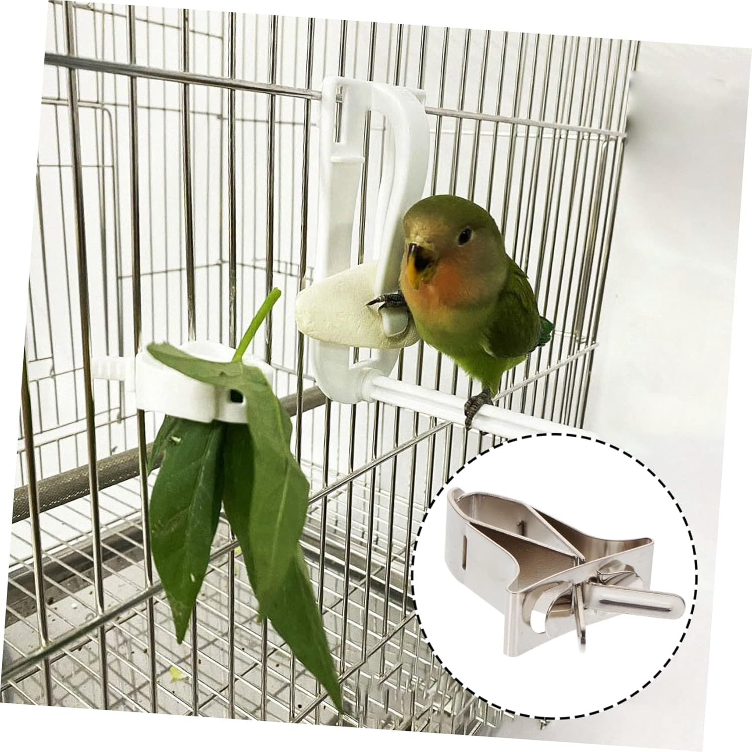 TEHAUX Bird Cage Food Feeding Clamp Parrot Feeding Clamp 2Pcs Metal Bird Food Clips Easy Install Non-Slip Durable Material image number 3