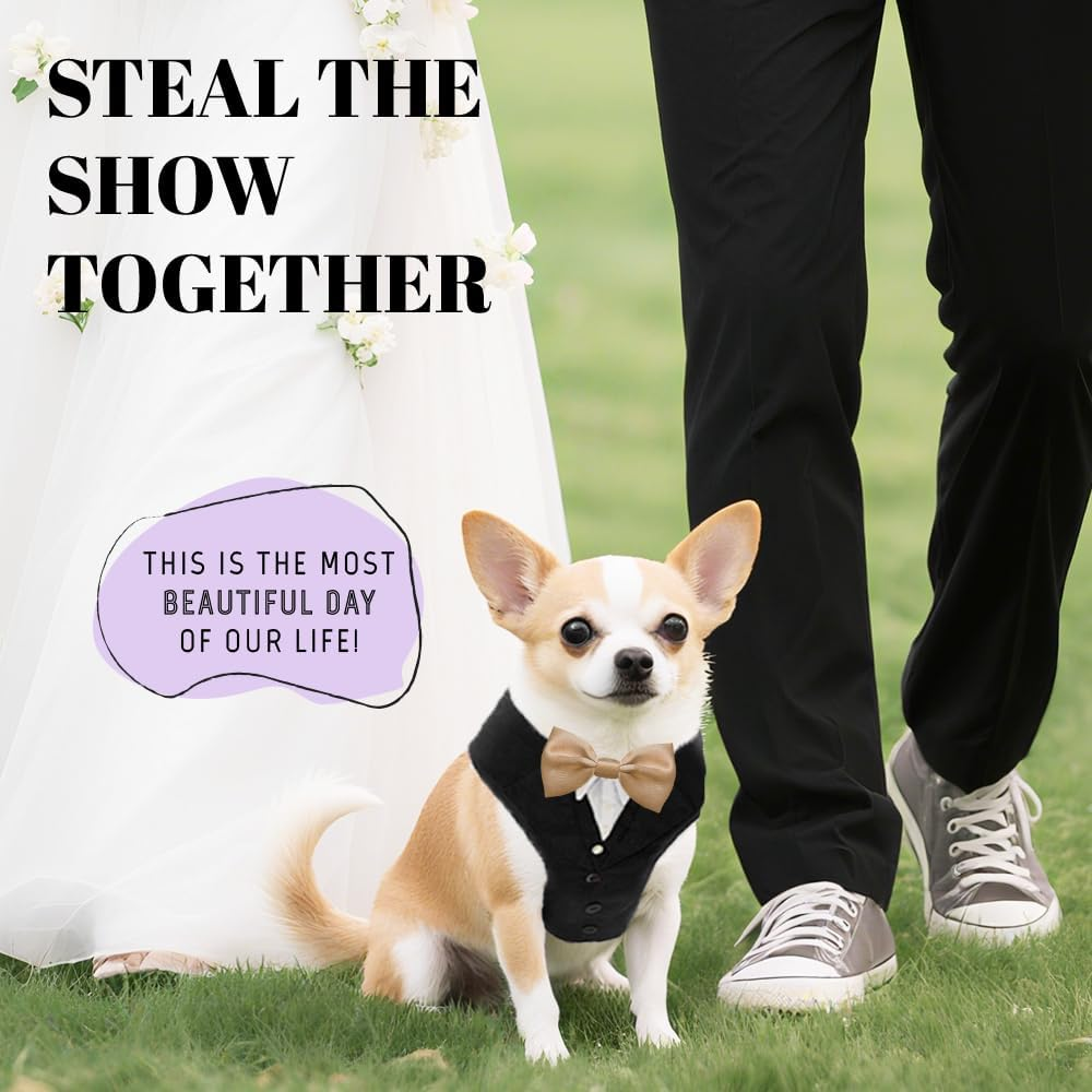 AVERYDAY XS Pet Tuxedo Harness, Wedding Costume Outfit for Small Dogs, Slim Cats and Tiny Pets with 8.3" Neck, 13-14.6" Chest, 10" Max Head Girth, Formal Suit Costume for Mini Breeds image number 2