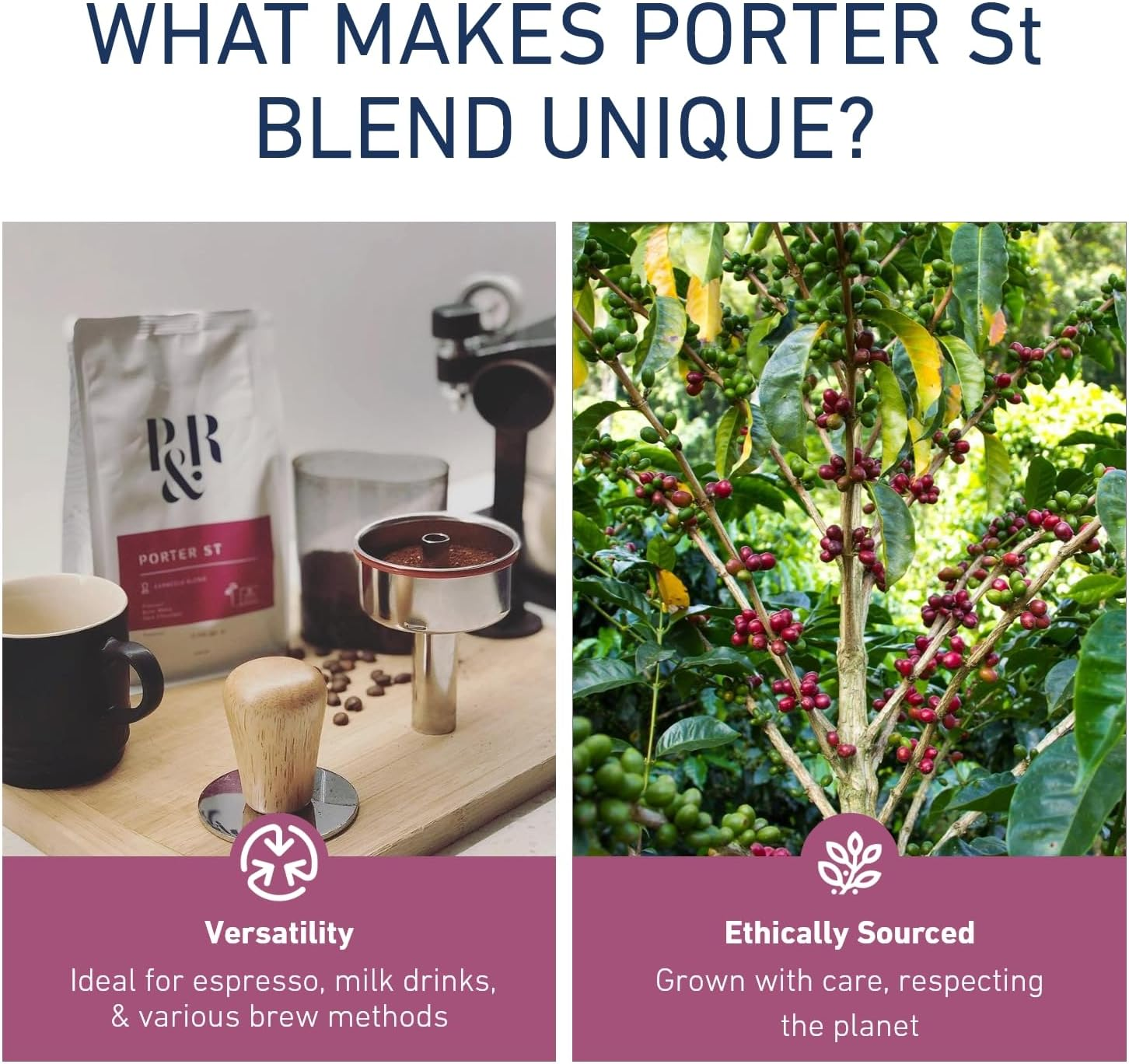 Pablo & Rusty'S Porter St Blend. Freshly Roasted Specialty Coffee. image number 5