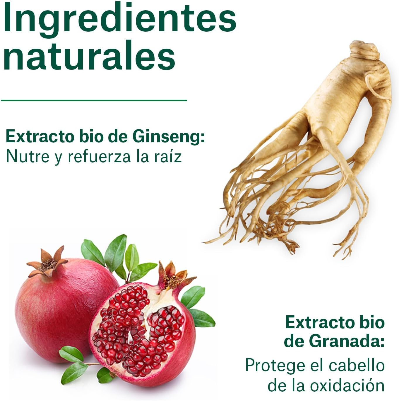 Naturvital Bio Shampoo Strengthening -ECOCERT Certified-No Silicones, Parabens and PEG - 300Ml image number 3