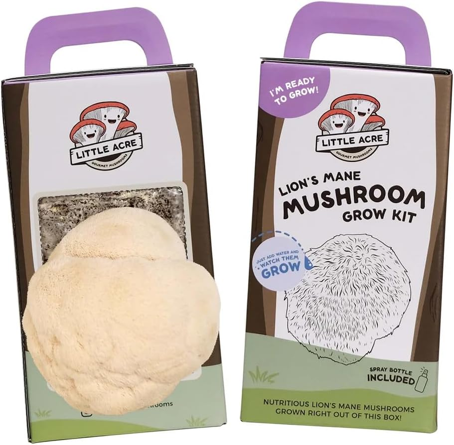 Little Acre Mushroom Kit, Lions Mane Mushrooms, Top Gardening Gift, Certified Organic (Lions Mane) image number 2