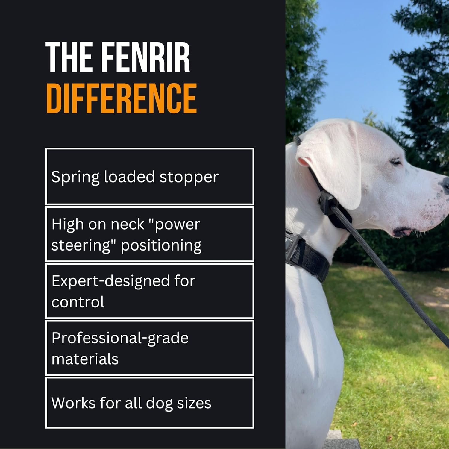 Fenrir Slip Leash 1.4M Professional Dog Training Lead to Stop Pulling, Perfect for Walks, Easy to Use, Spring Loaded Stopper, Light Weight and Durable image number 3